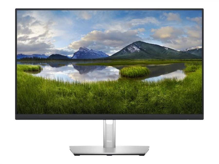 Dell Dis 24 P2423DE Professional WQHD IPS