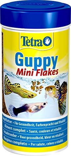 Tetra Guppy Mini Flakes, Mangime Completo per Guppy e Altri Pesci Vivipari - 250 ml