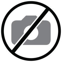 Toner Originale Dynabook T-FC55E-Y Originale Giallo 1 pezzo - 6AK00000117