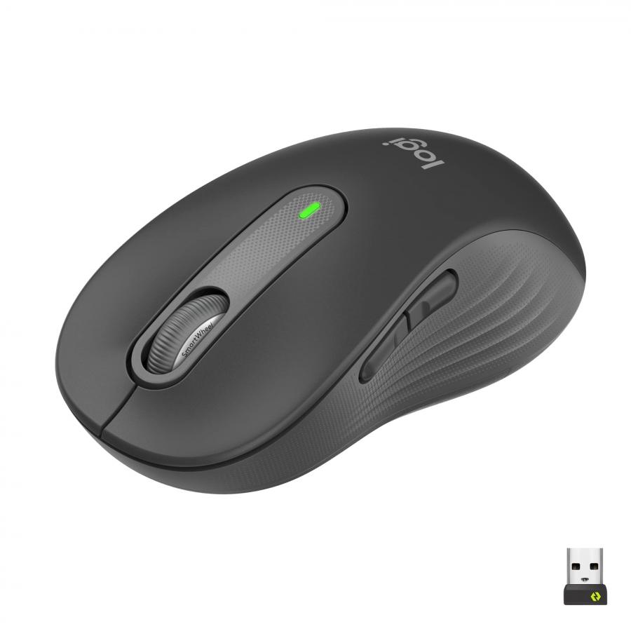 Logitech Signature M650 L Mouse Wireless Full Size - Per Mani Grandi, Clic Silenziosi, Tasti Laterali Personalizzabili, Bluetooth, Compatibilità Multidispositivo - Grigio