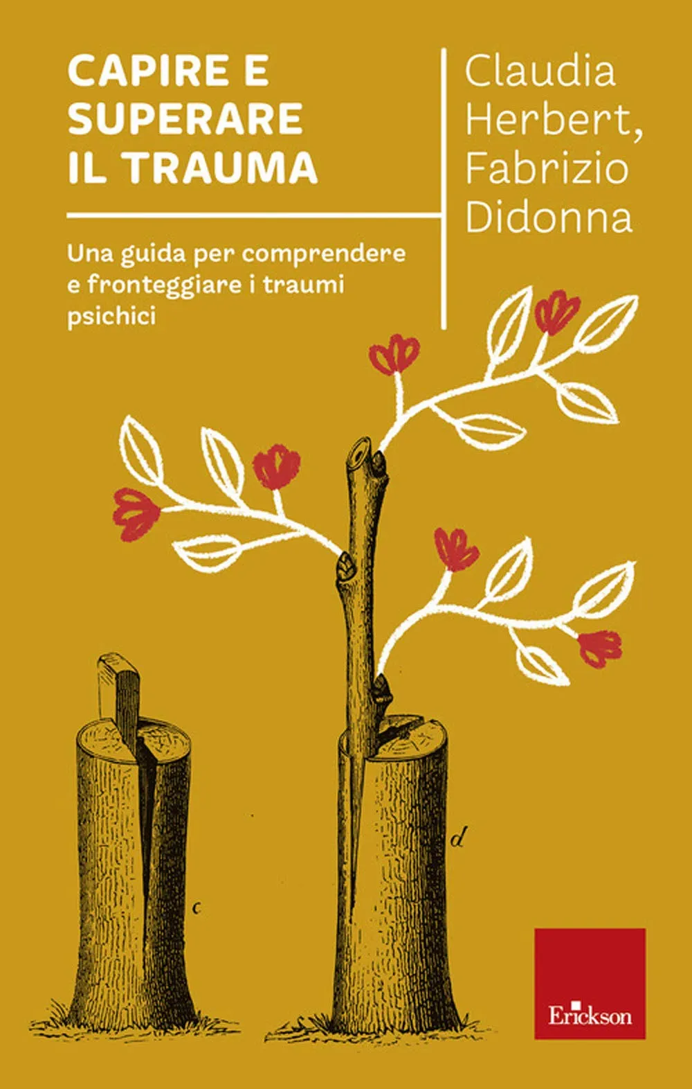 Capire e superare il trauma: Una guida per comprendere e fronteggiare efficacemente i traumi psichici