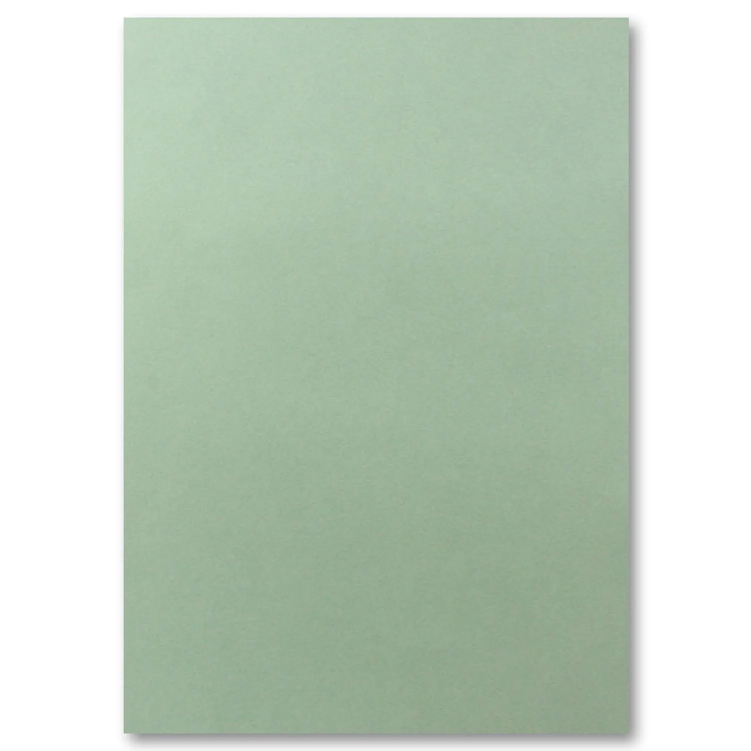 50 Fogli Carta Colorata Eucalipto A4 - 240g/m² FarbenFroh