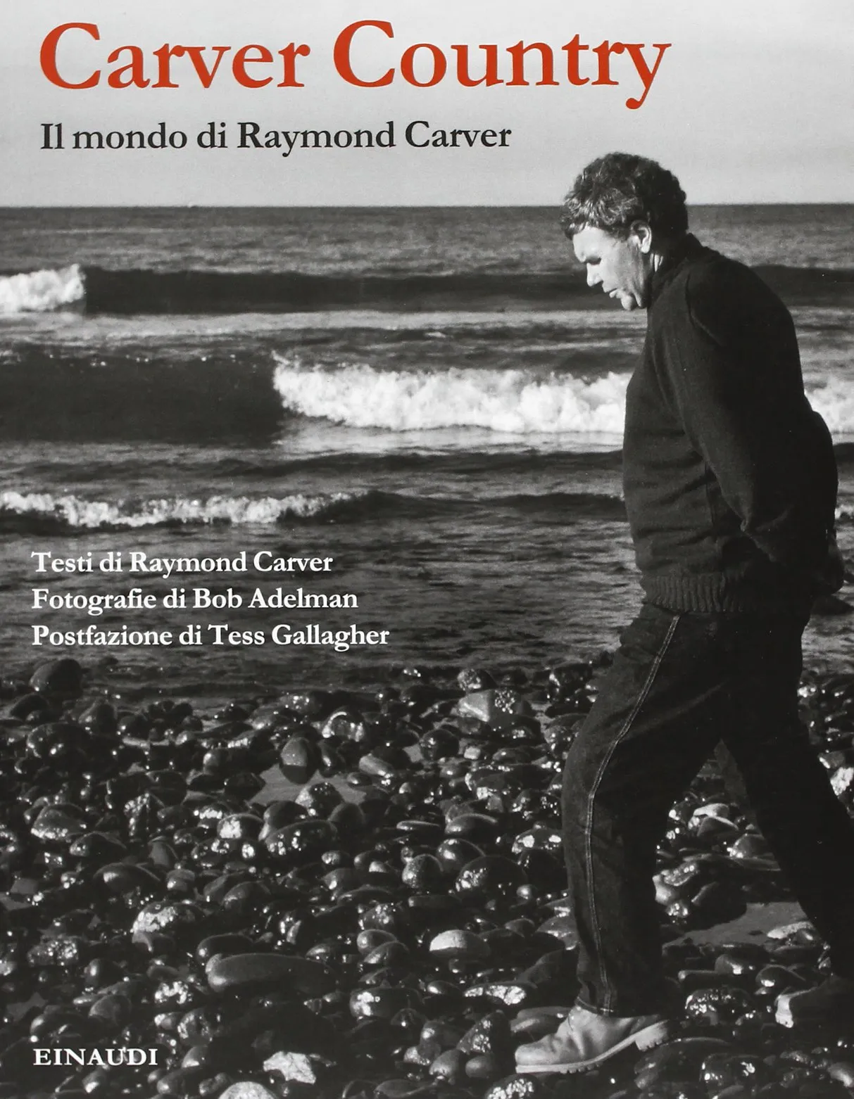 Carver Country. Il mondo di Raymond Carver