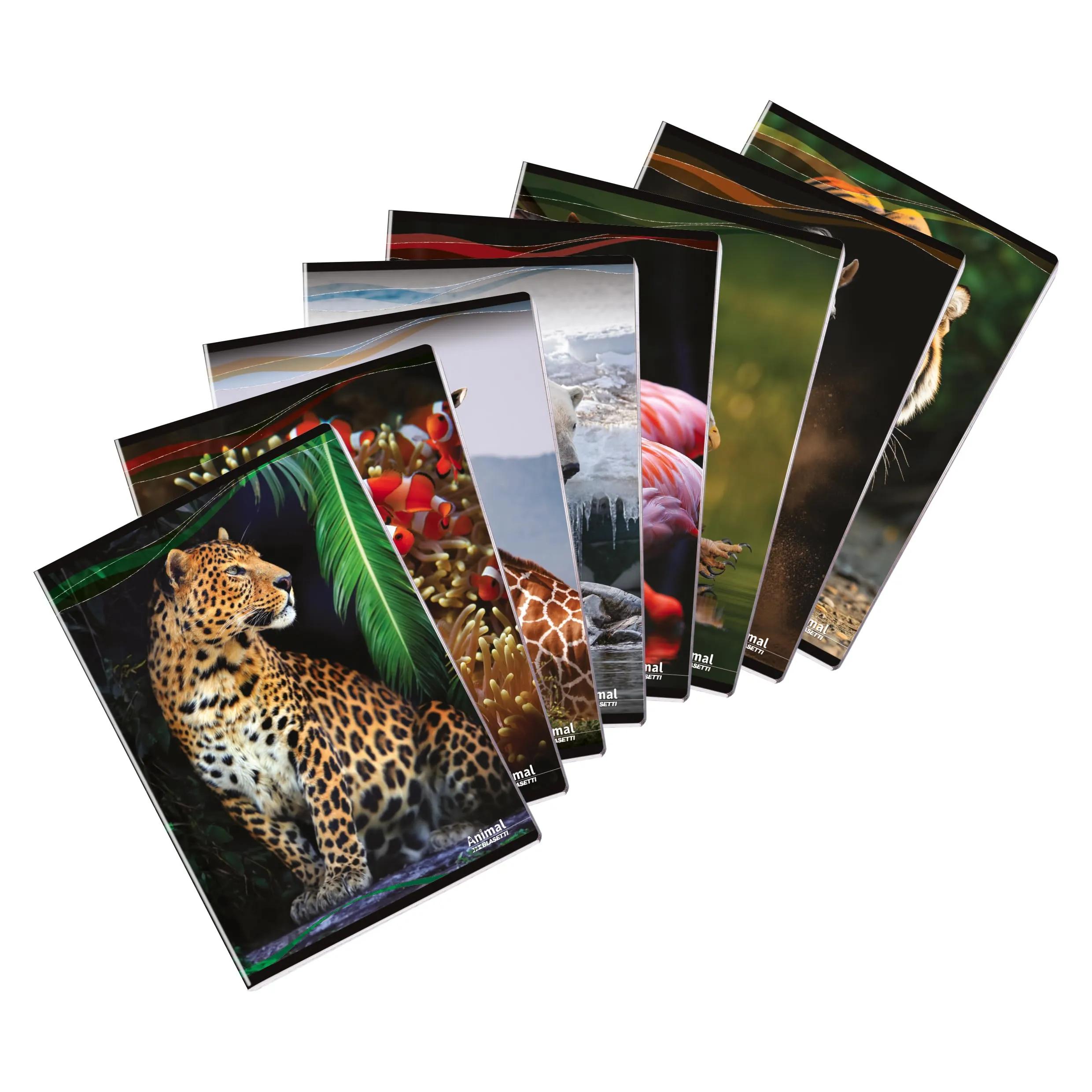 Maxi Quaderno Blasetti Animal A4 - Confezione da 10