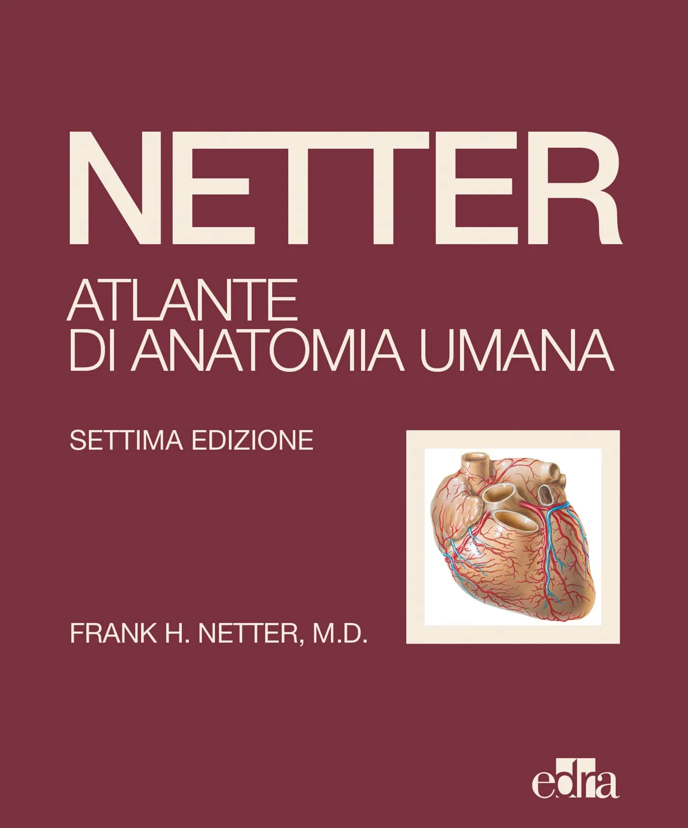 Netter. Atlante di anatomia umana (Edizione 2022)