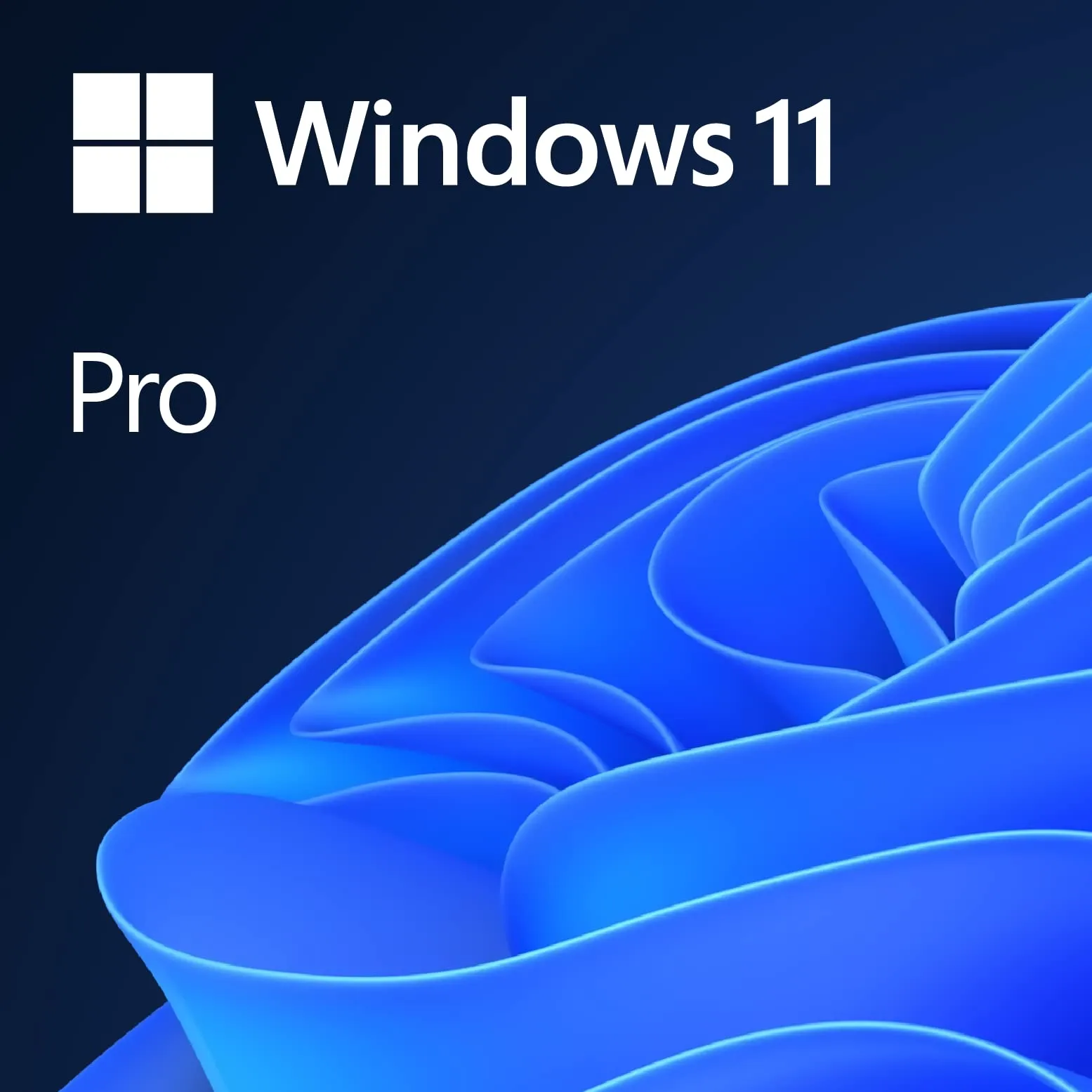 Windows 11 Pro - Licenza Digitale per PC