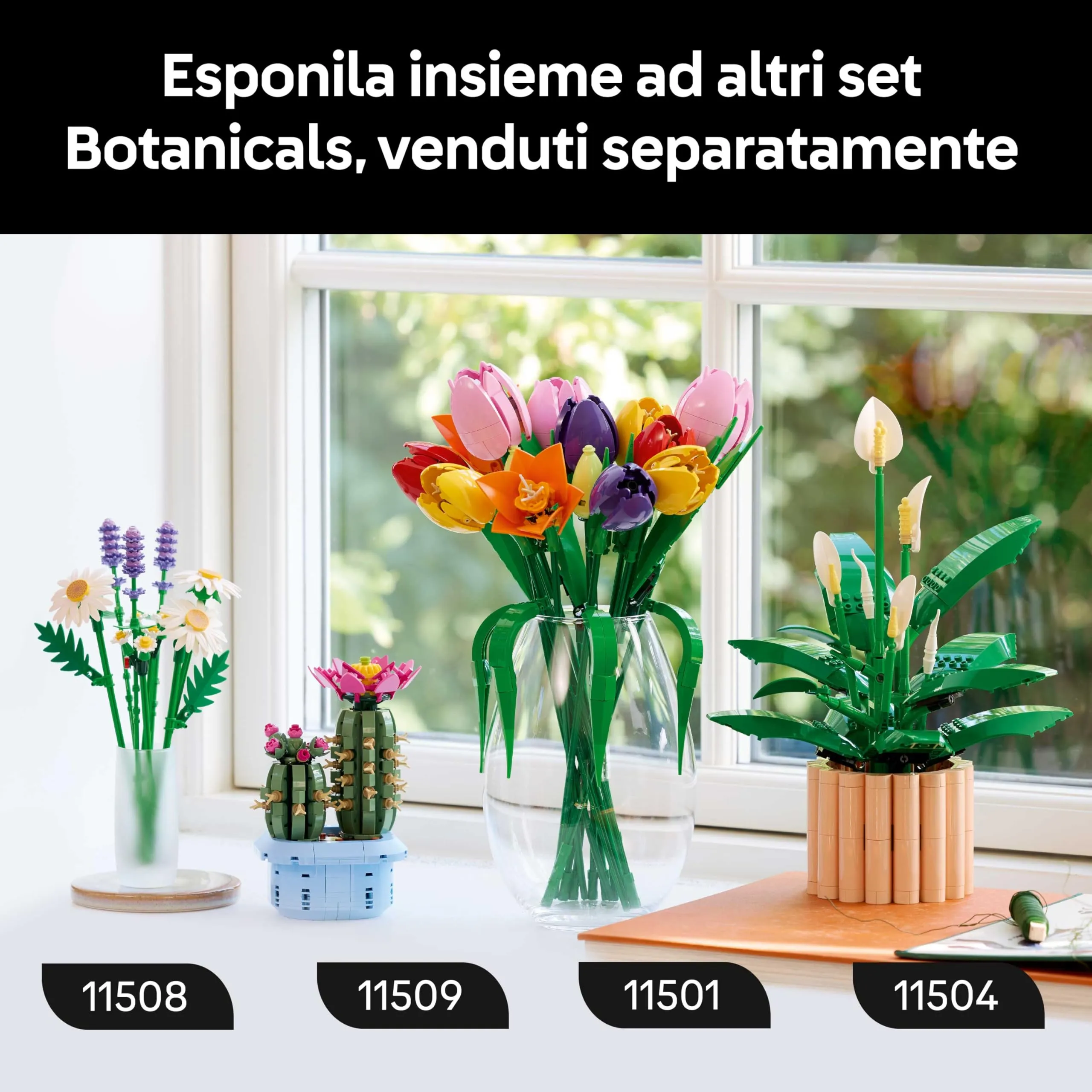 Miniatura 8