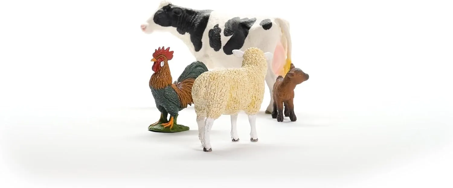 Miniatura 5