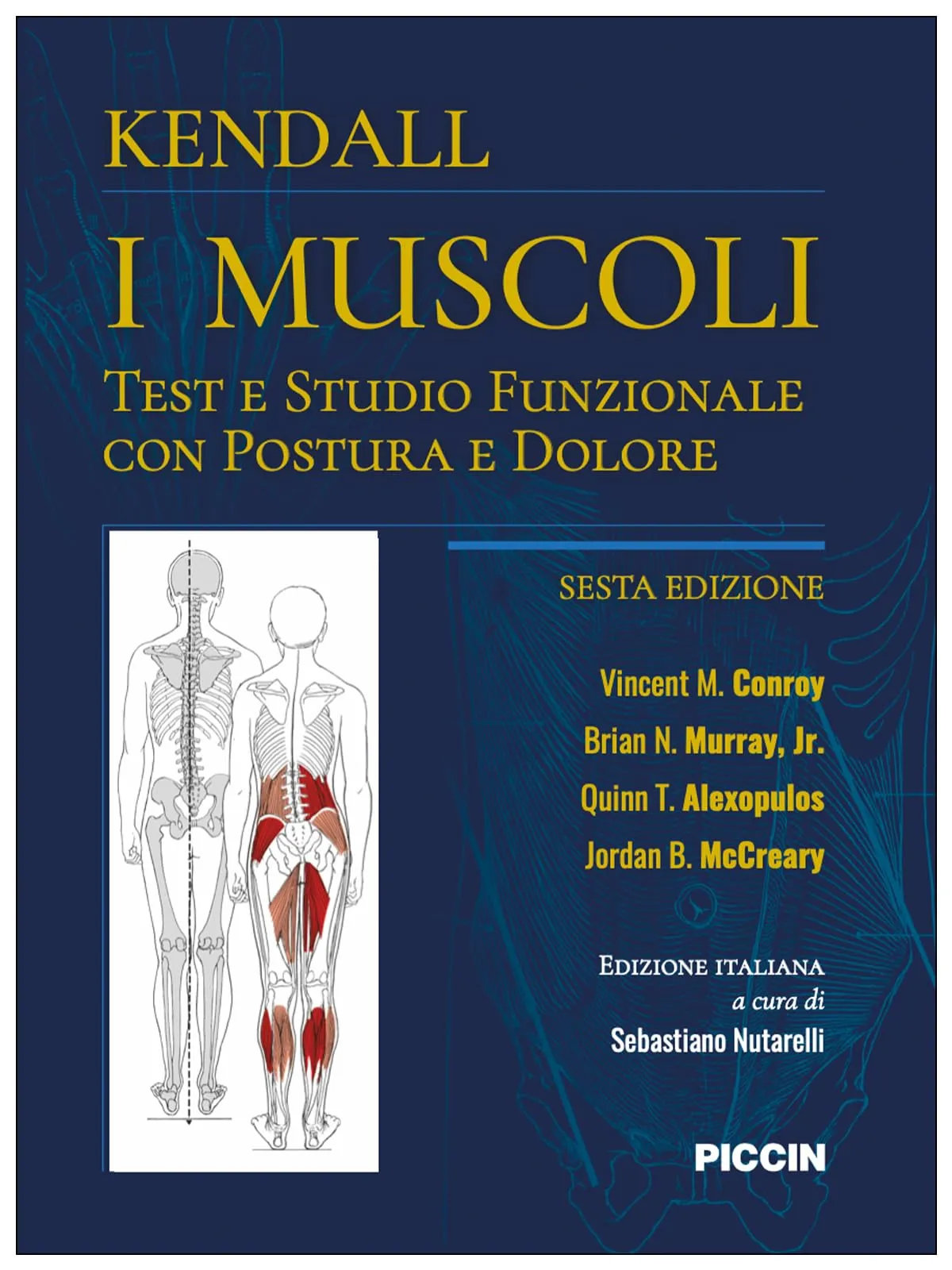 I muscoli. Test e studio funzionale con postura e dolore
