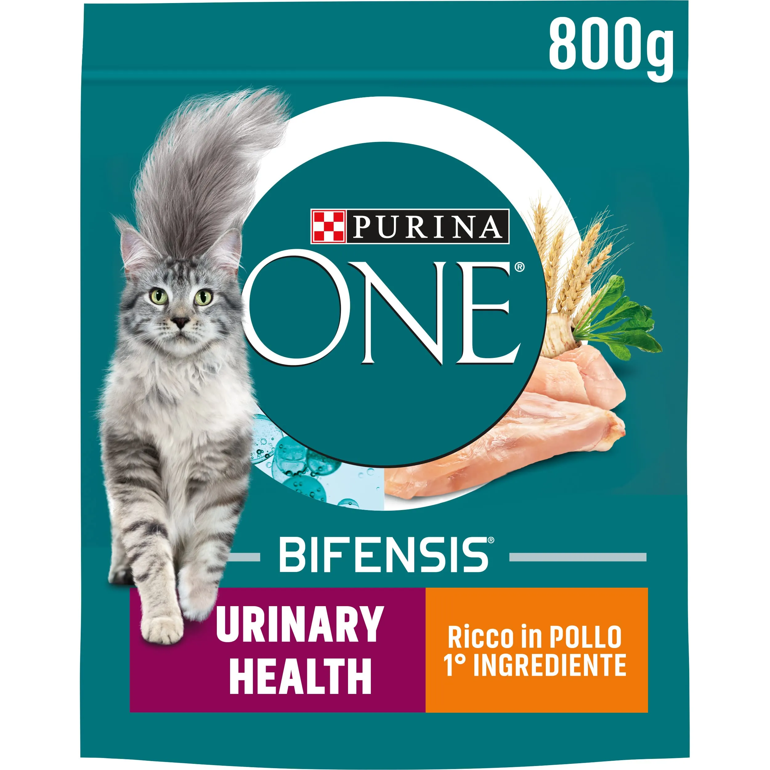 PURINA ONE Bifensis Urinary Health Crocchette per Gatti Adulti con Pollo e Frumento