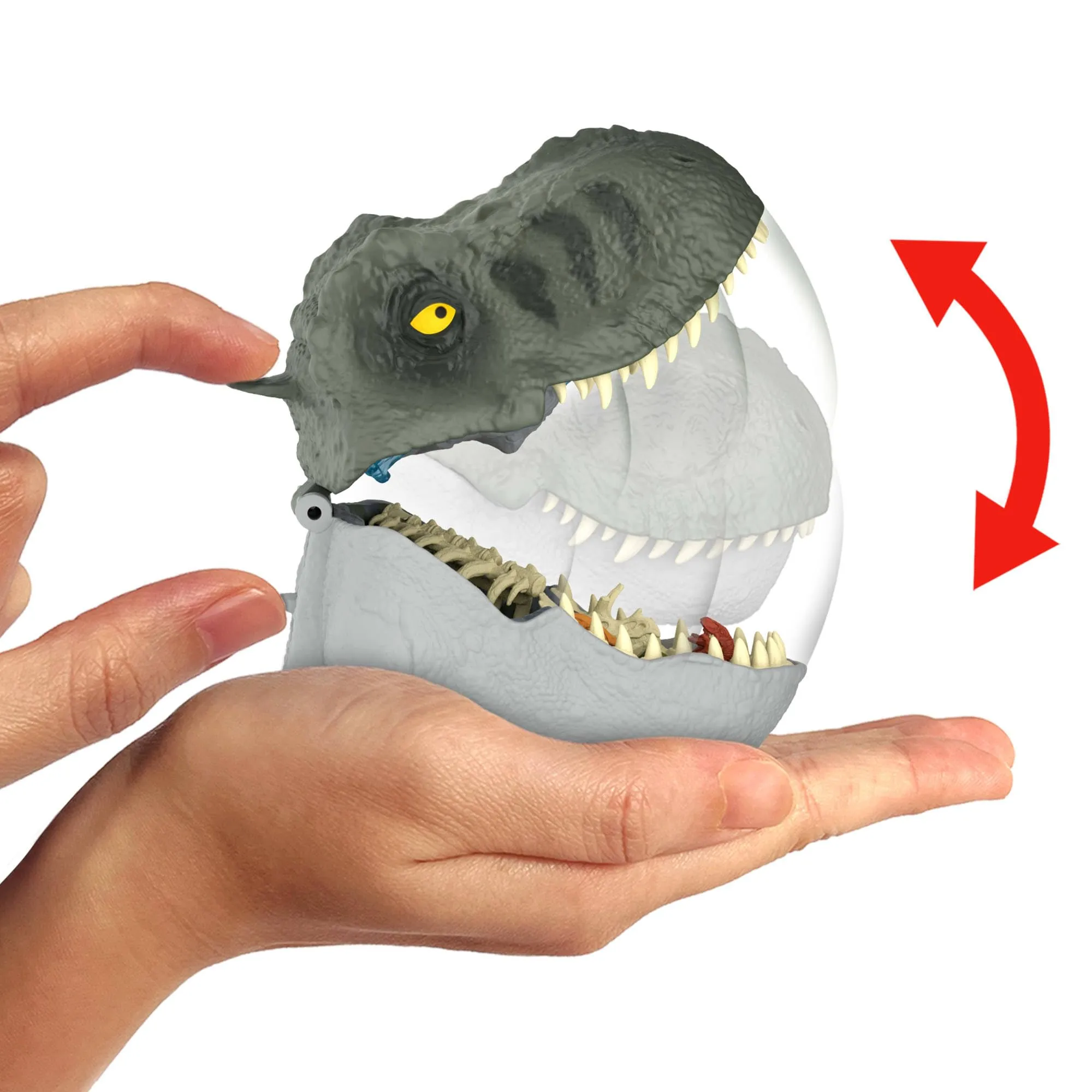 Miniatura 6