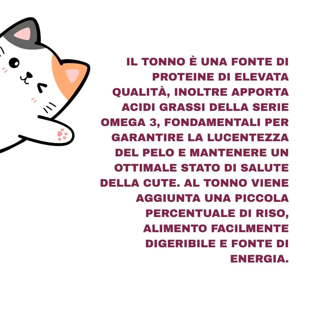 Natural Code Umido Gatto Adult Tonno - 12x70g