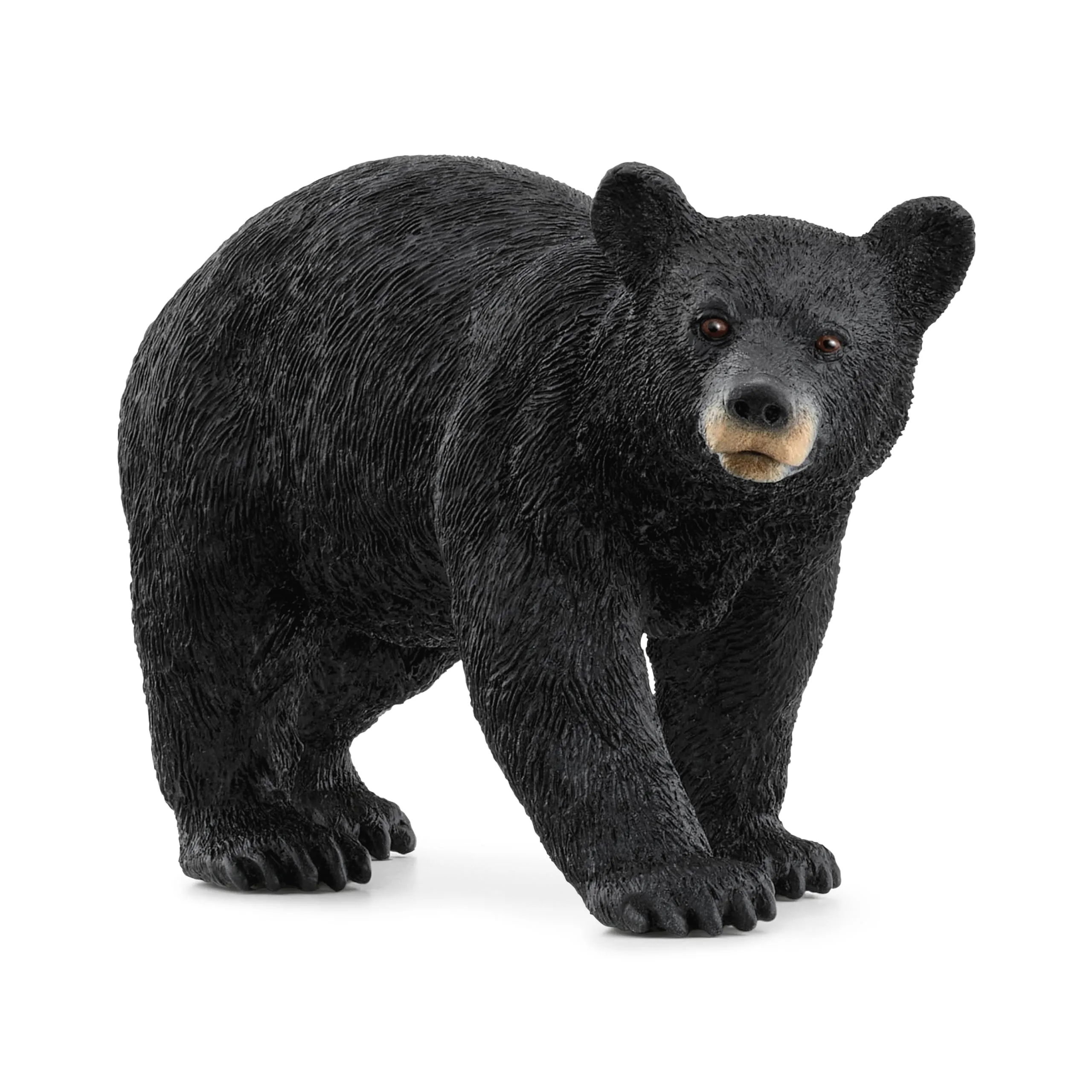 Schleich Orso Nero Americano - Figura Wild Life