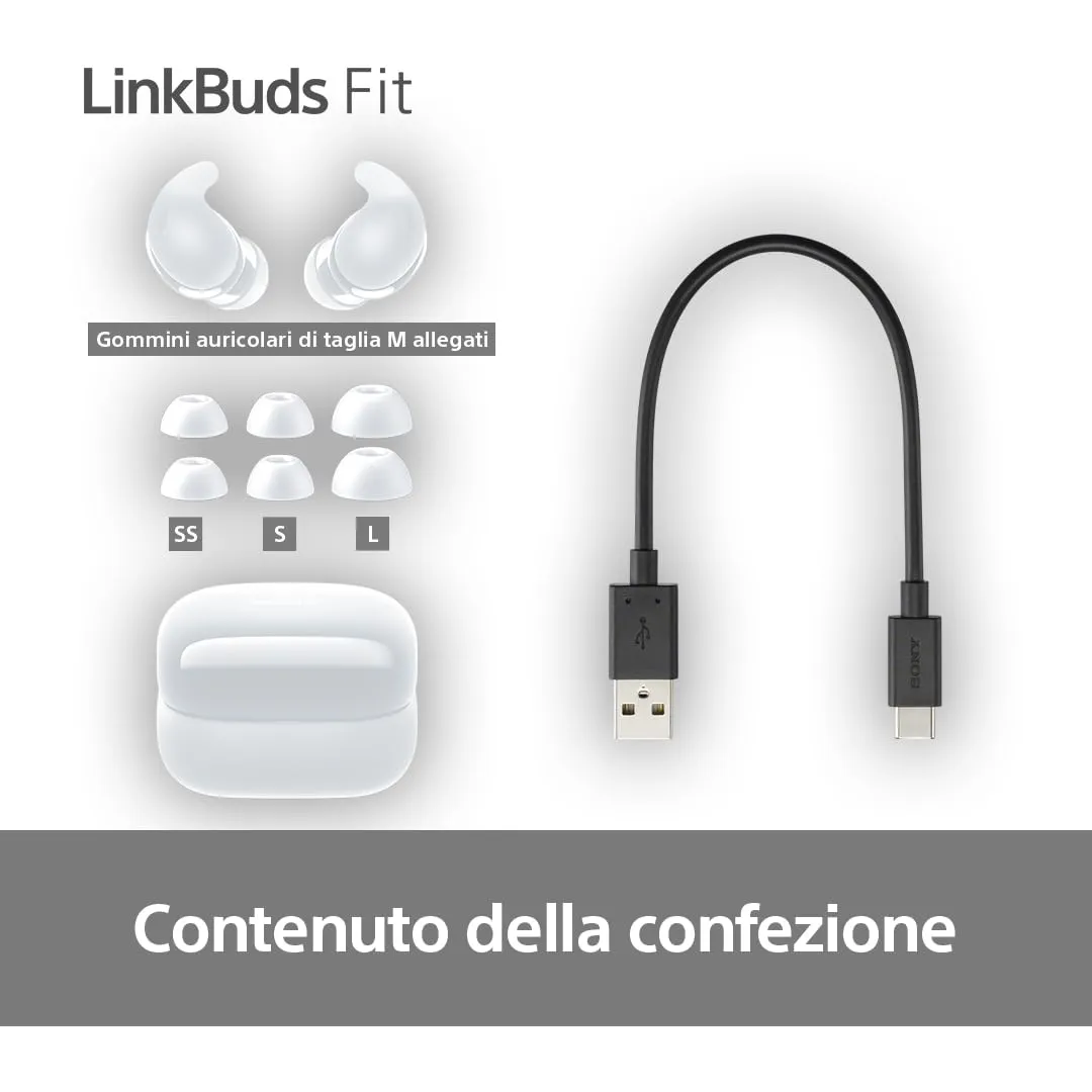 Miniatura 12