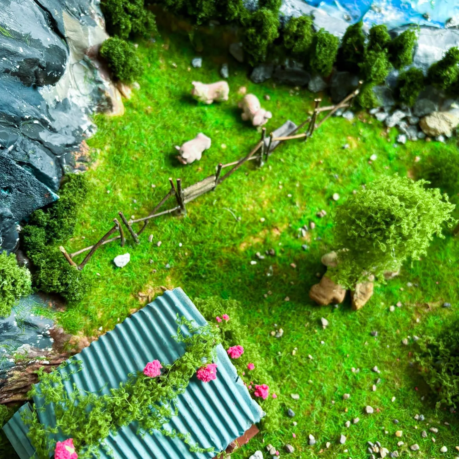Miniatura 6
