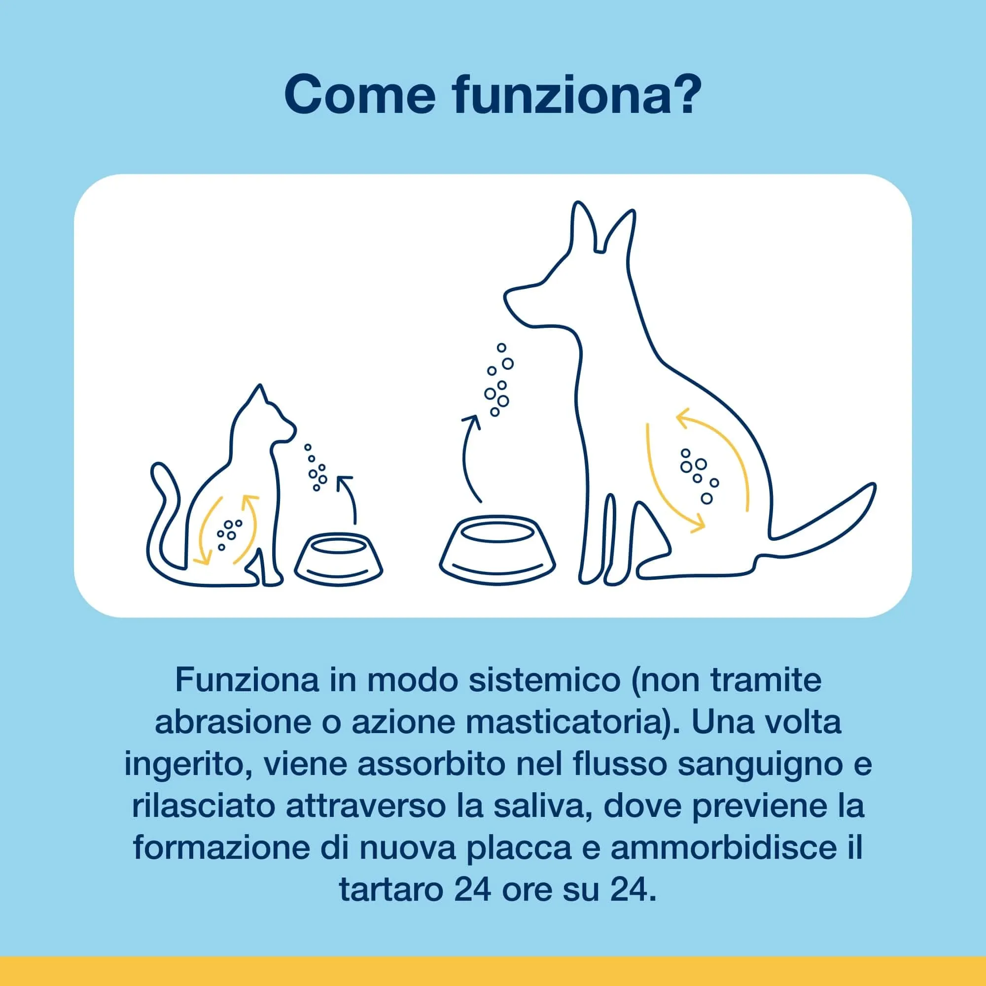 Miniatura 10