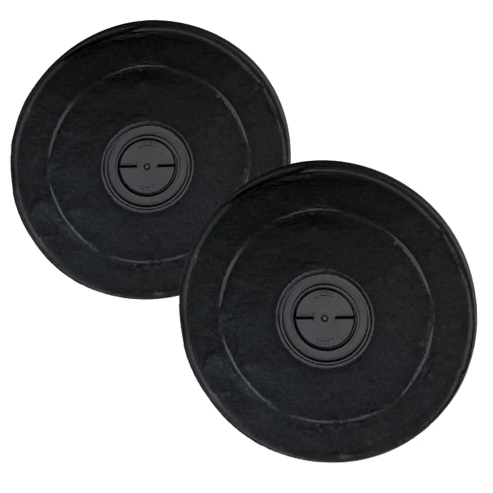 DL SERVICE Filtro Carbone Attivo per Cappa Faber Flaminia (2 Pezzi)