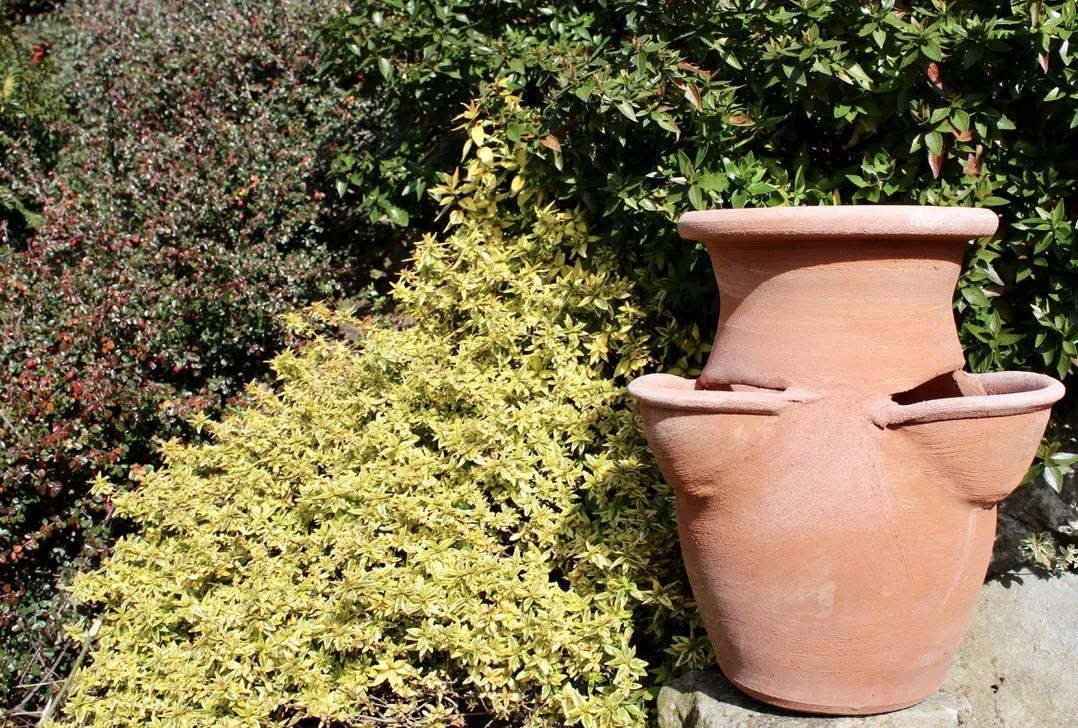 Fragoliera in Terracotta - Vaso per Piante e Fiori