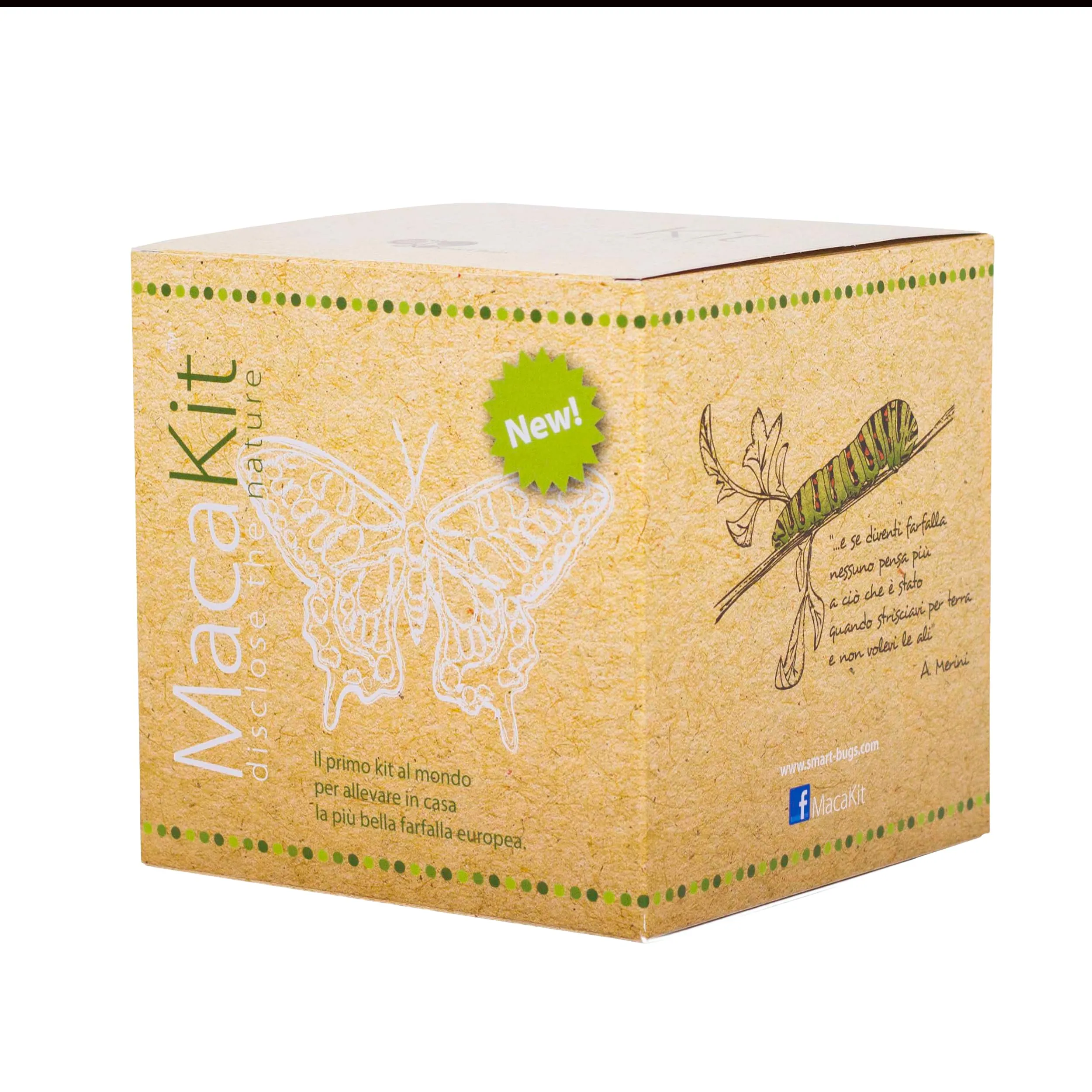 MacaKit - Kit per Allevare Farfalle Macaone in Casa