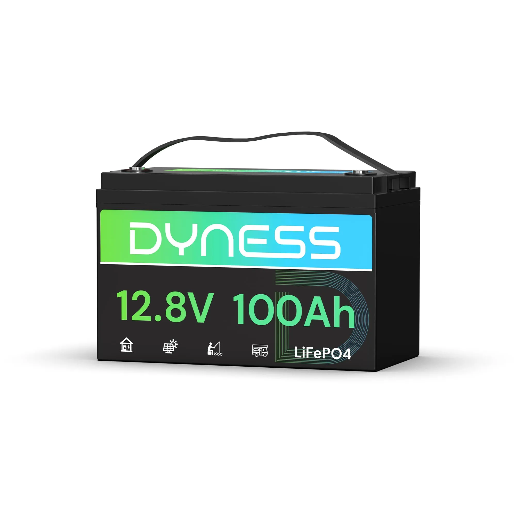 Batteria Litio LiFePO4 Dyness 24V 100Ah con BMS 100A e Protezione Bassa Temperatura