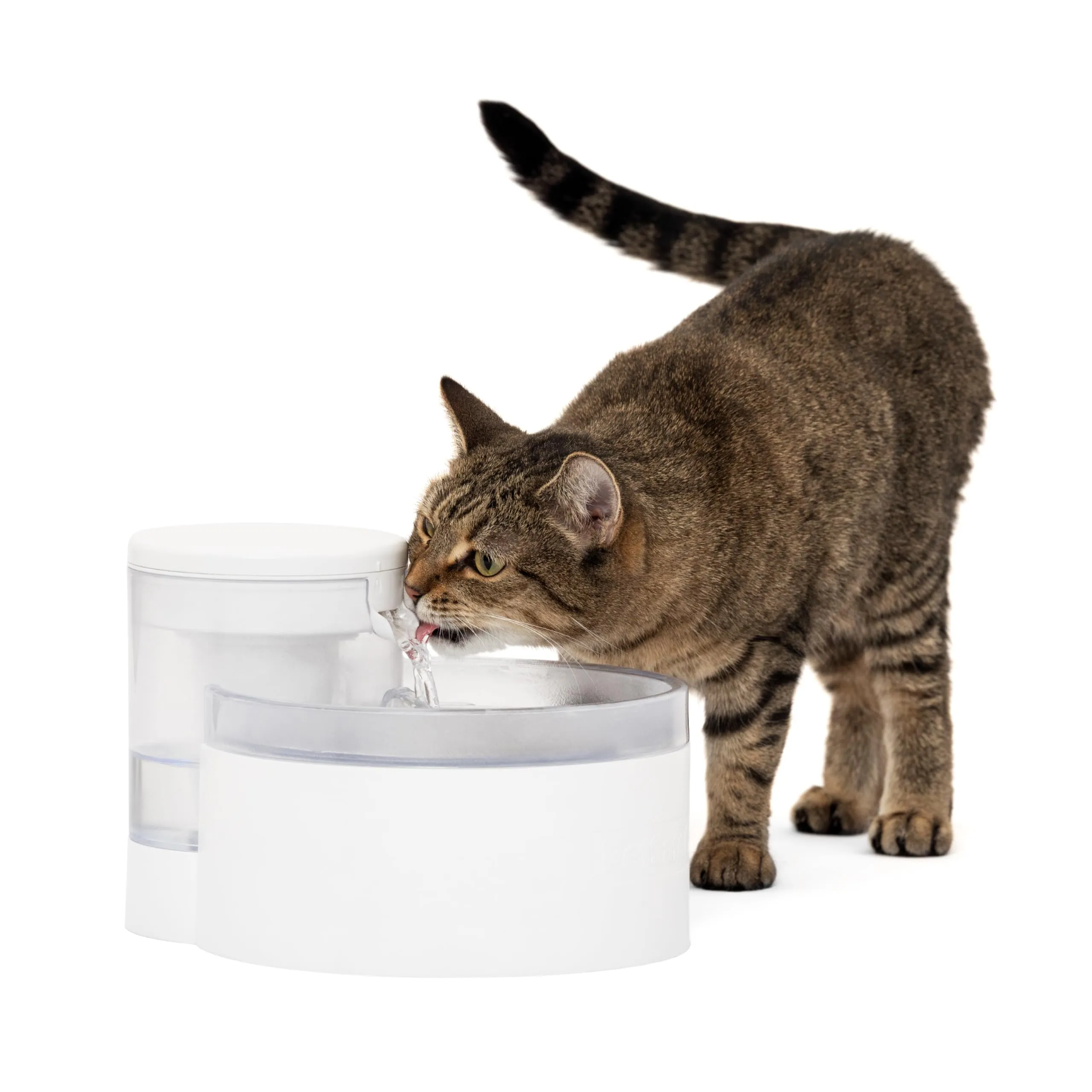 Fontana per Gatti e Cani di Piccola Taglia PetSafe Outlast 1,7 L