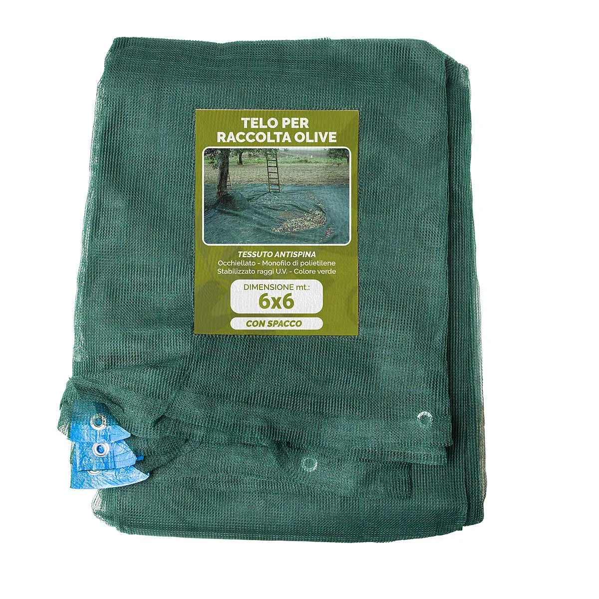 Telo Rete Raccolta Olive Antispina Pesante con Spacco, Angolo Rinforzato e Occhielli 6x6 Metri