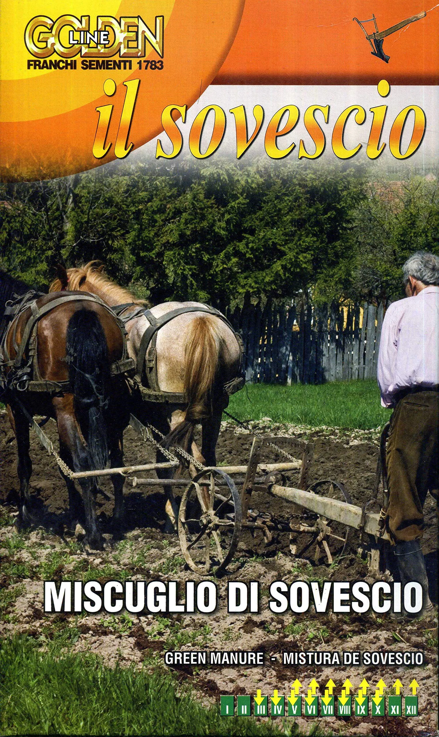 Franchi Sementi - Miscuglio Sovescio 1kg