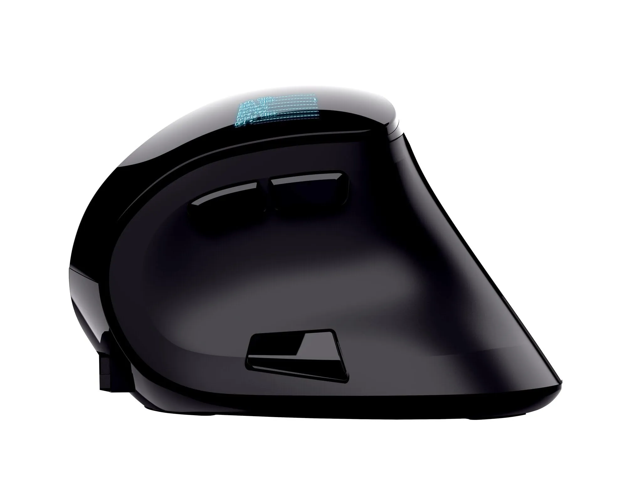 Miniatura 13