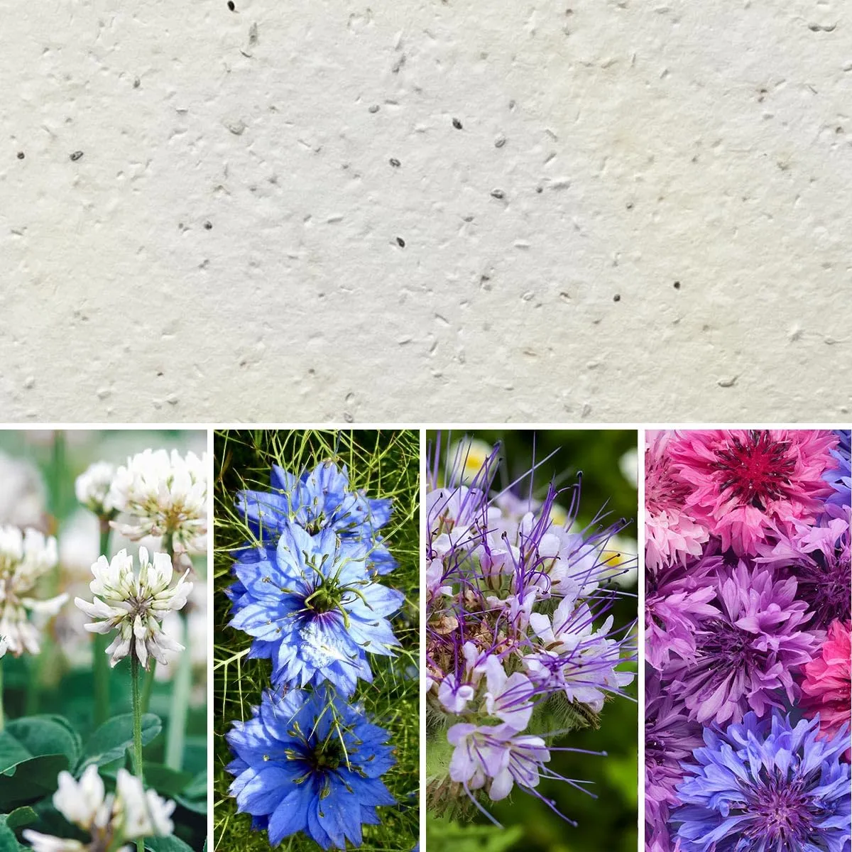 Eco-Card® Carta Ecologica con Semi FIORI PER API