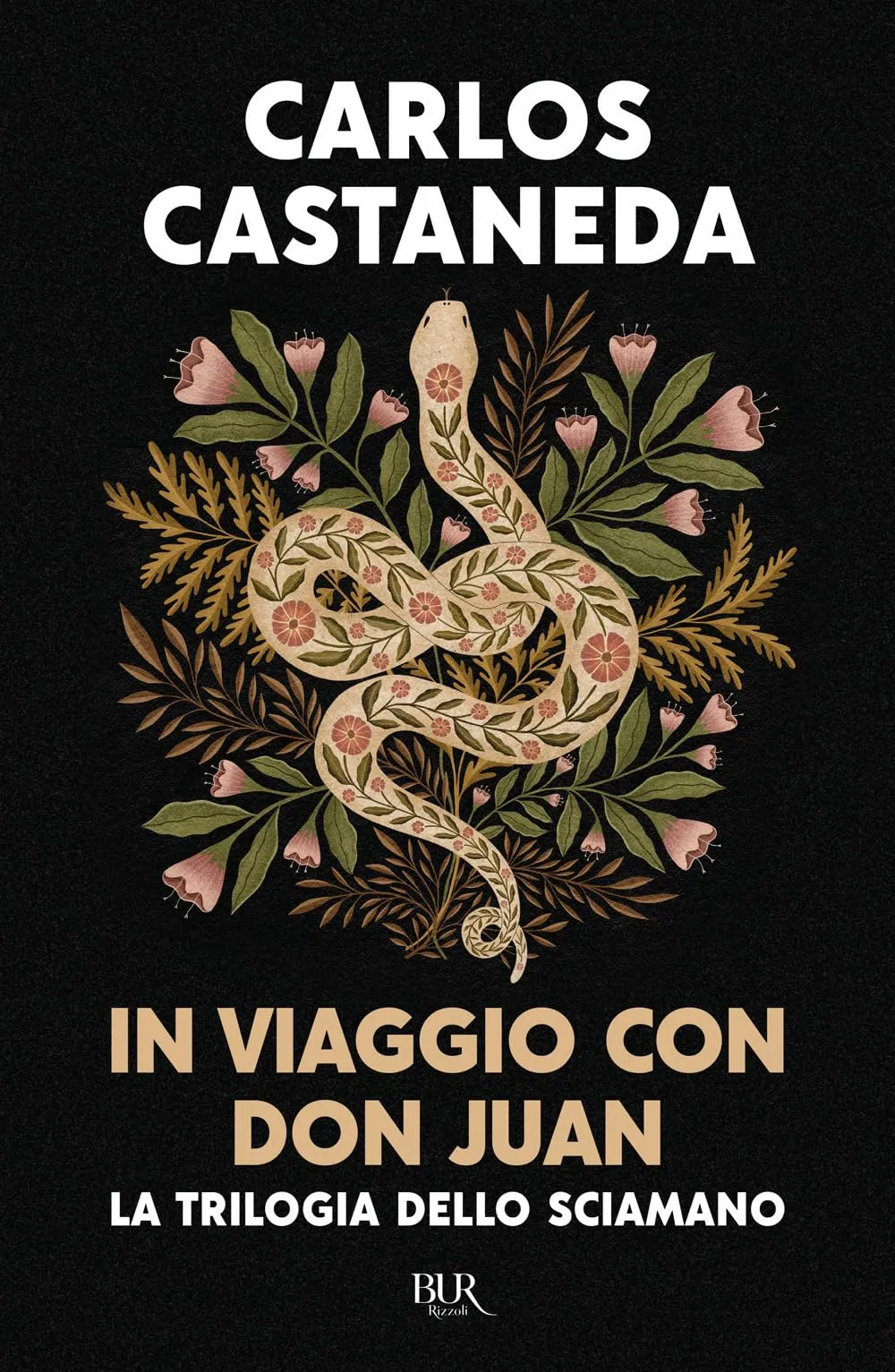 In viaggio con don Juan. La trilogia dello sciamano. Ediz. speciale
