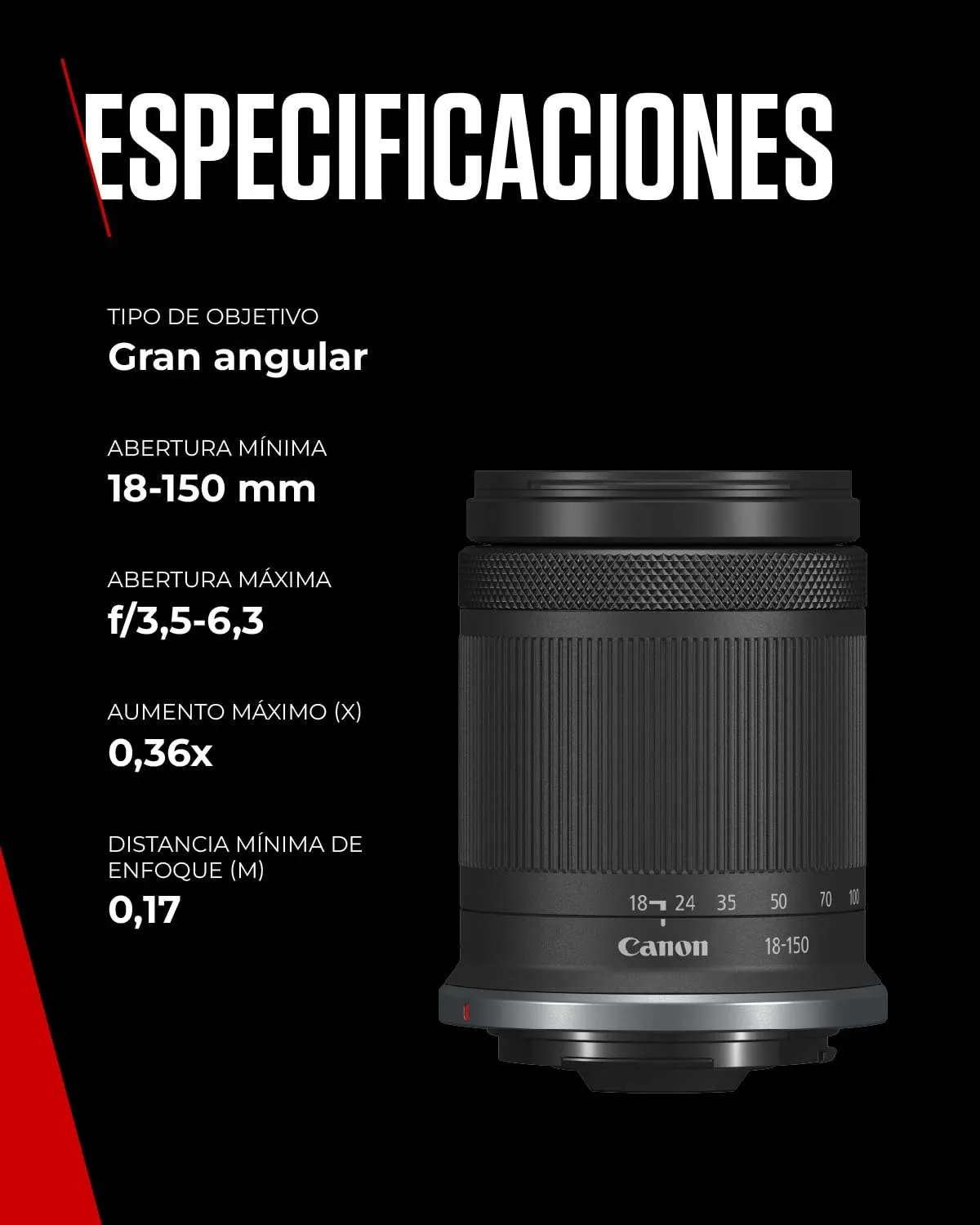 Miniatura 10
