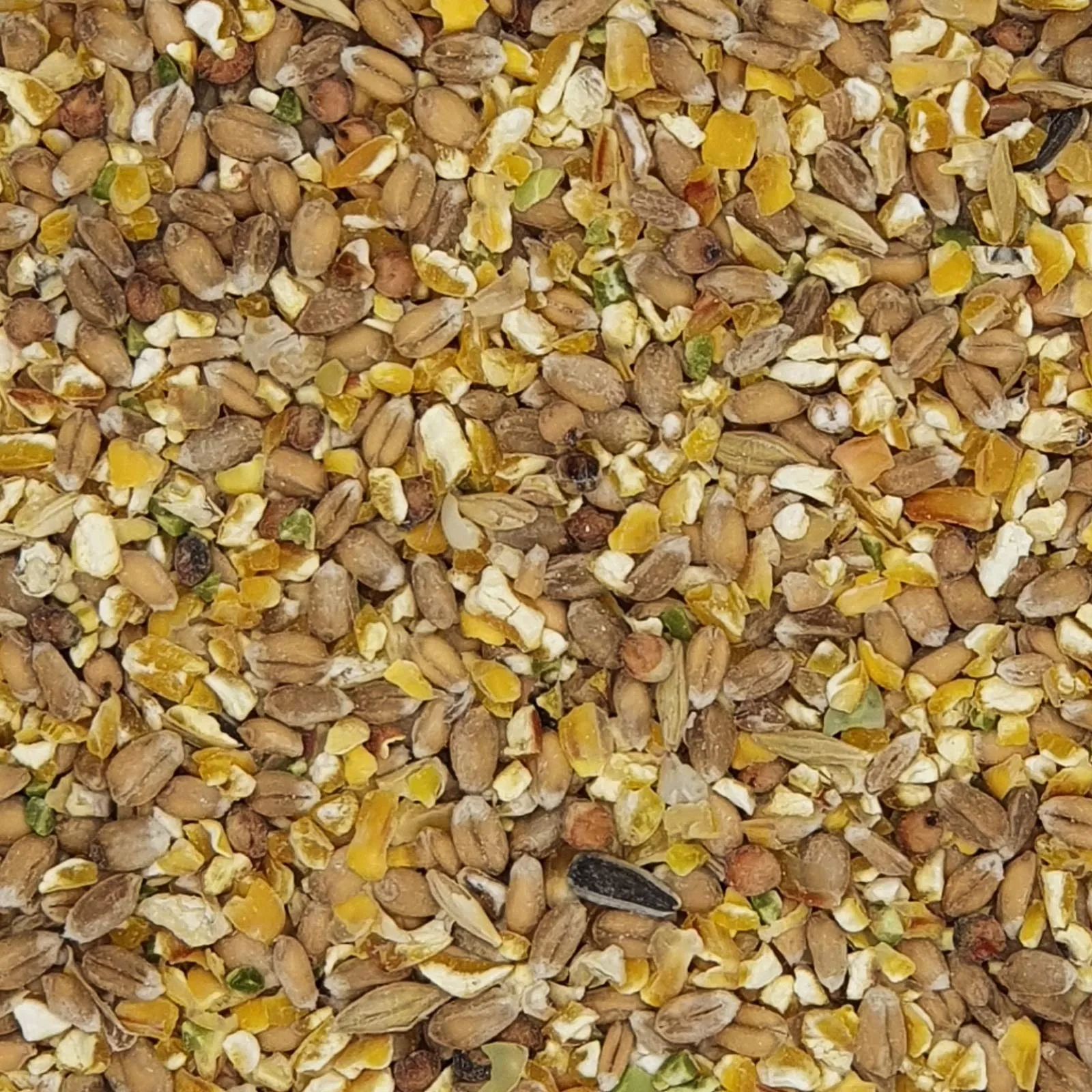 Versele-Laga Gra-Mix Ardenner Miscela per Pollame - 20 kg