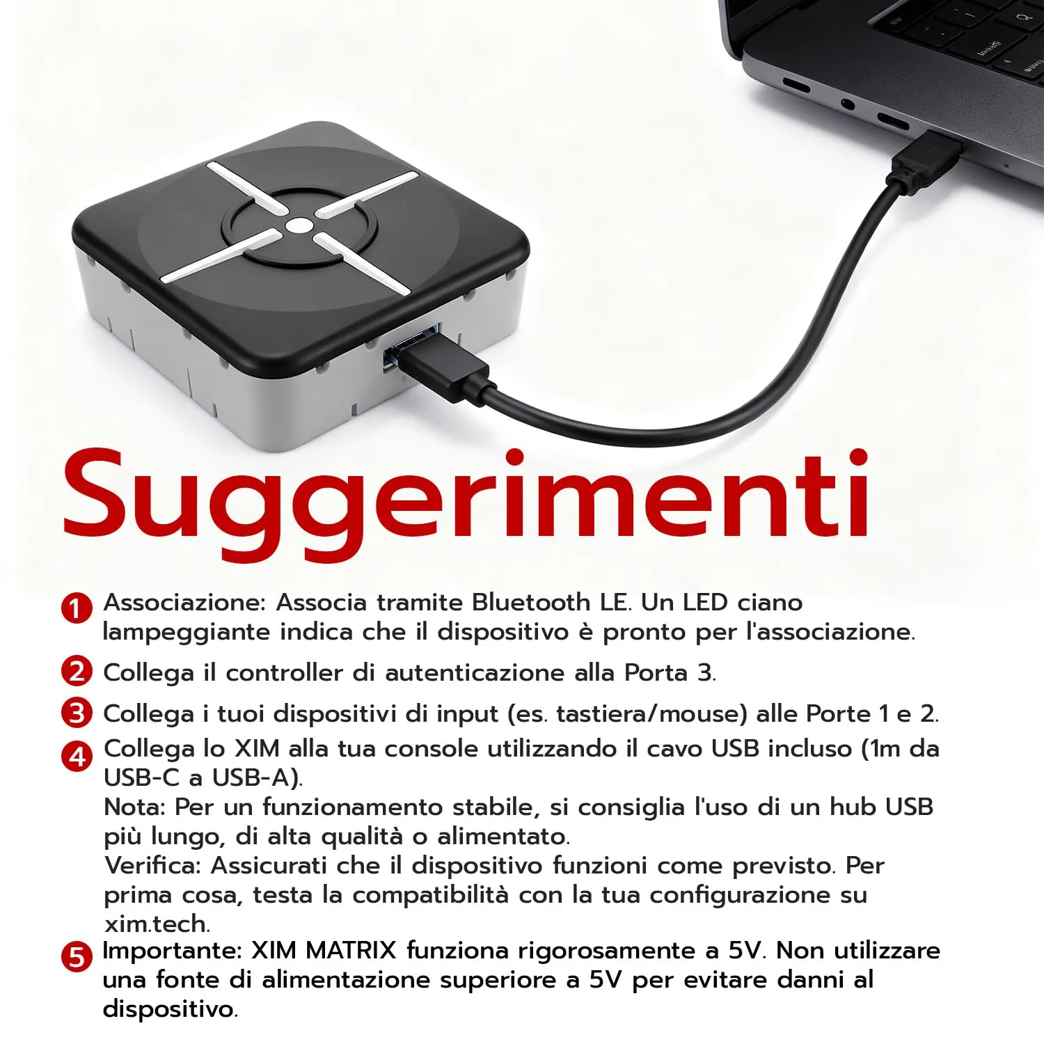 Miniatura 9