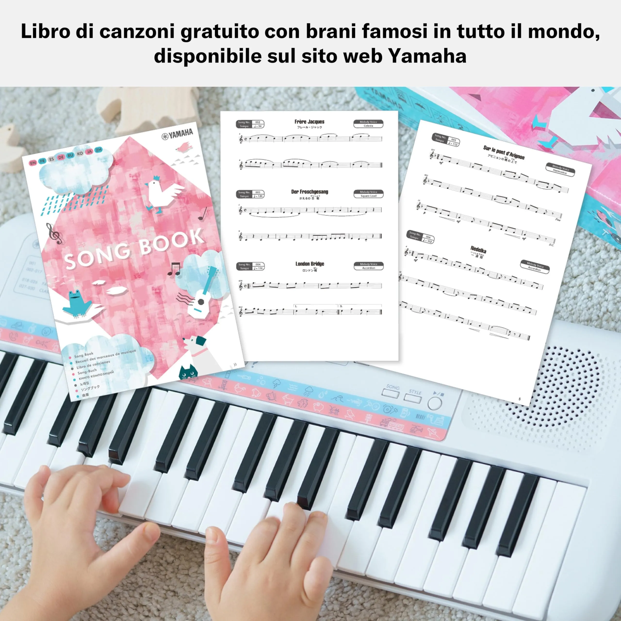 Miniatura 6