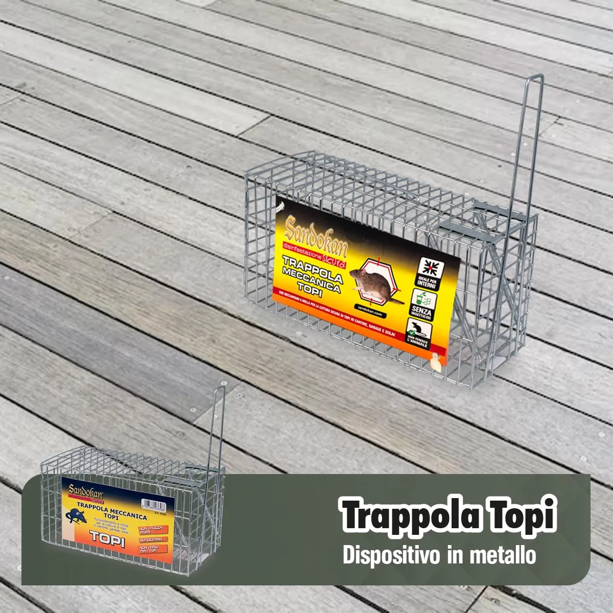 Miniatura 3