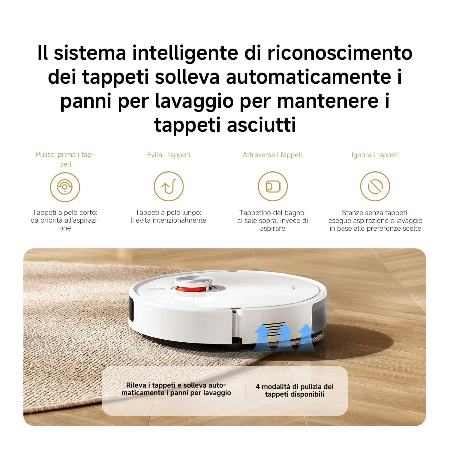Miniatura 12