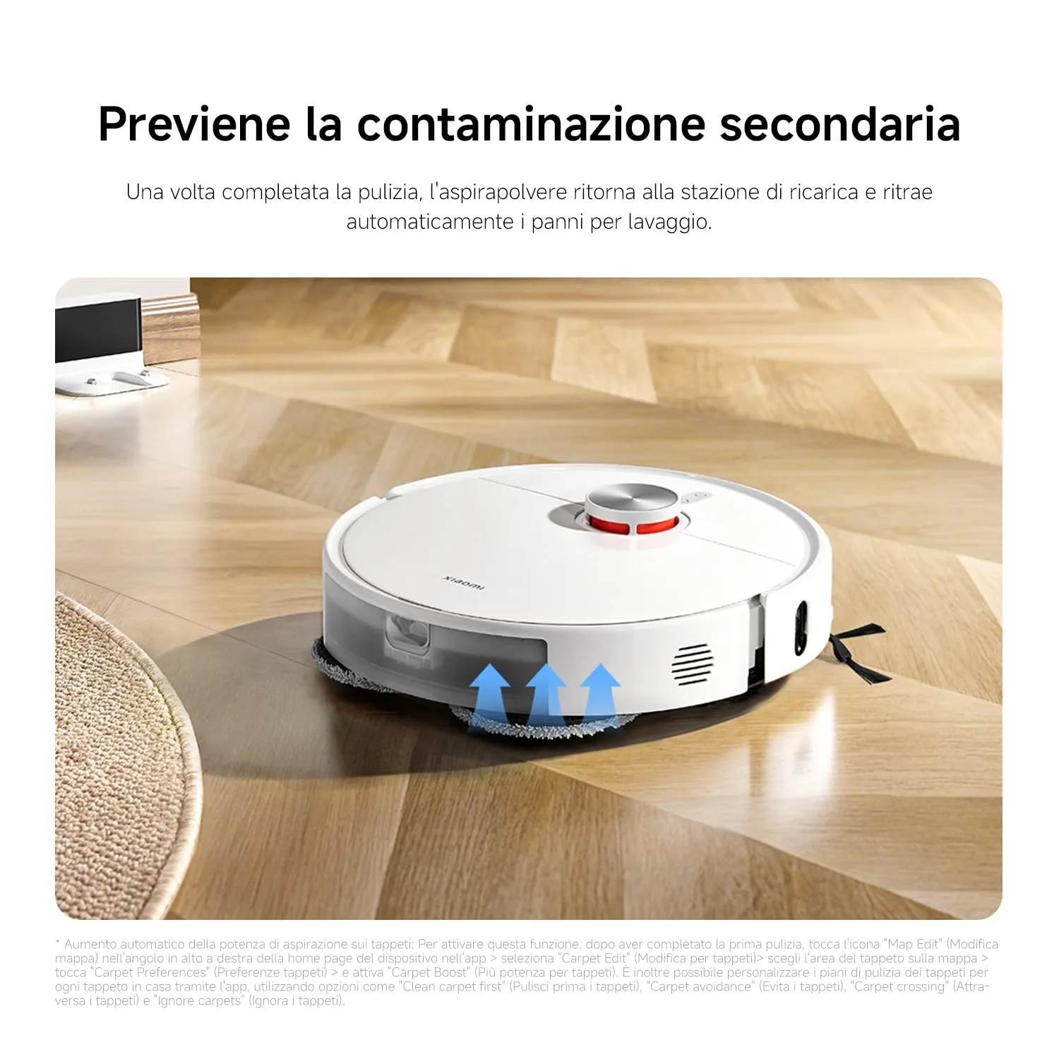 Miniatura 13