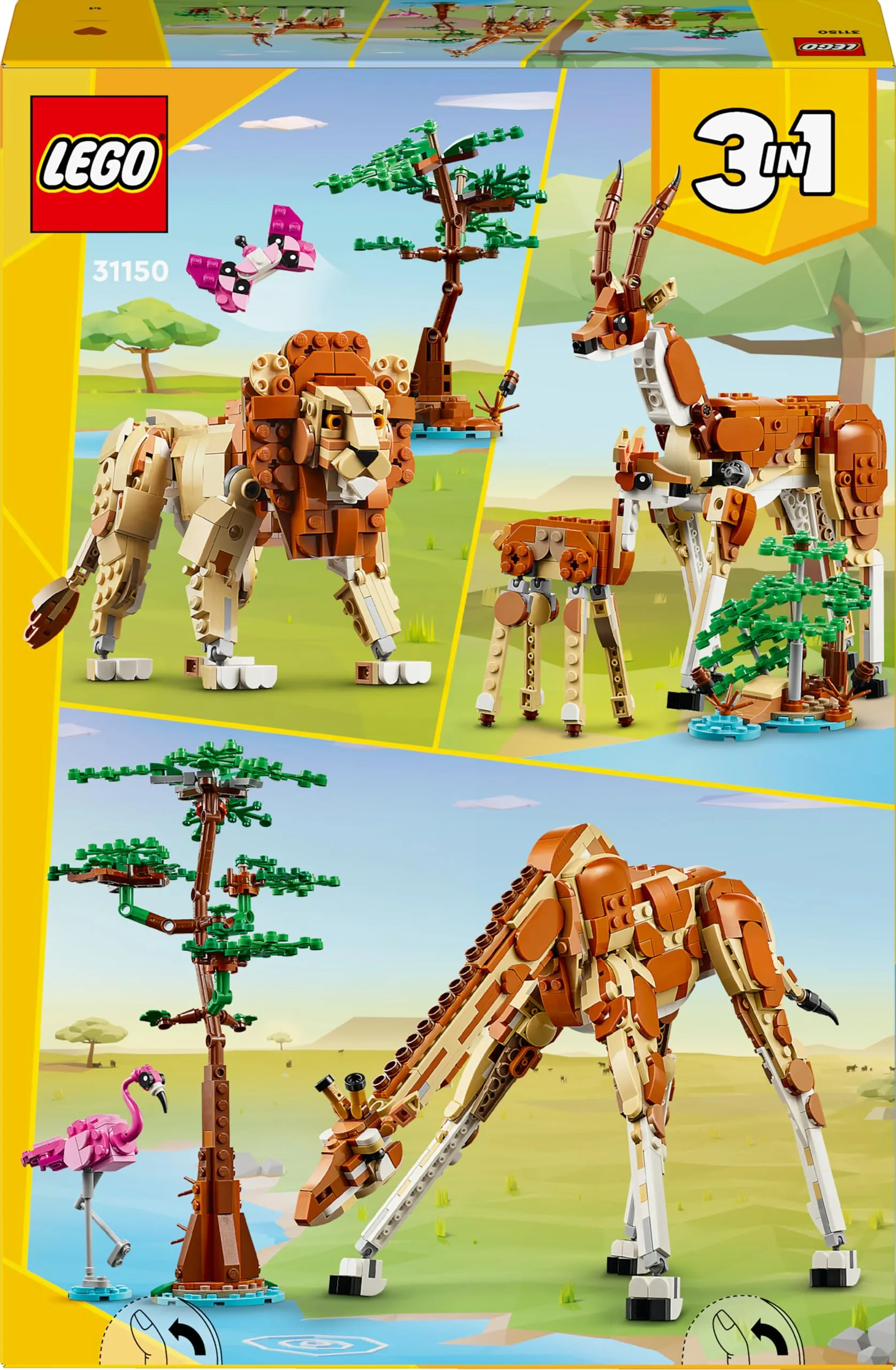 Miniatura 12