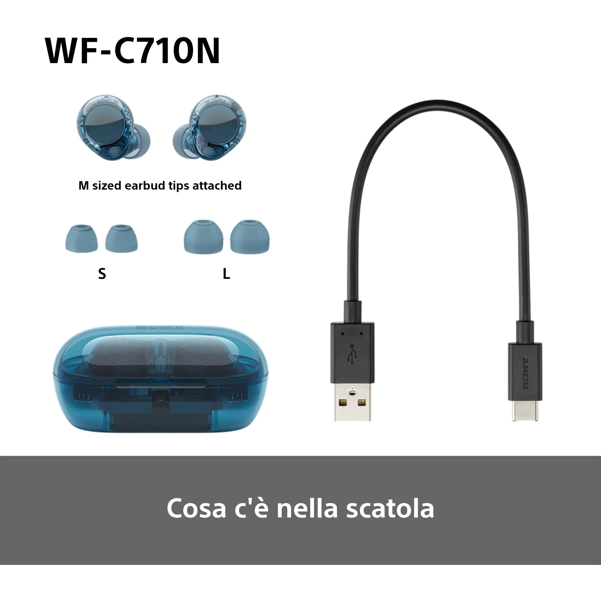 Miniatura 11