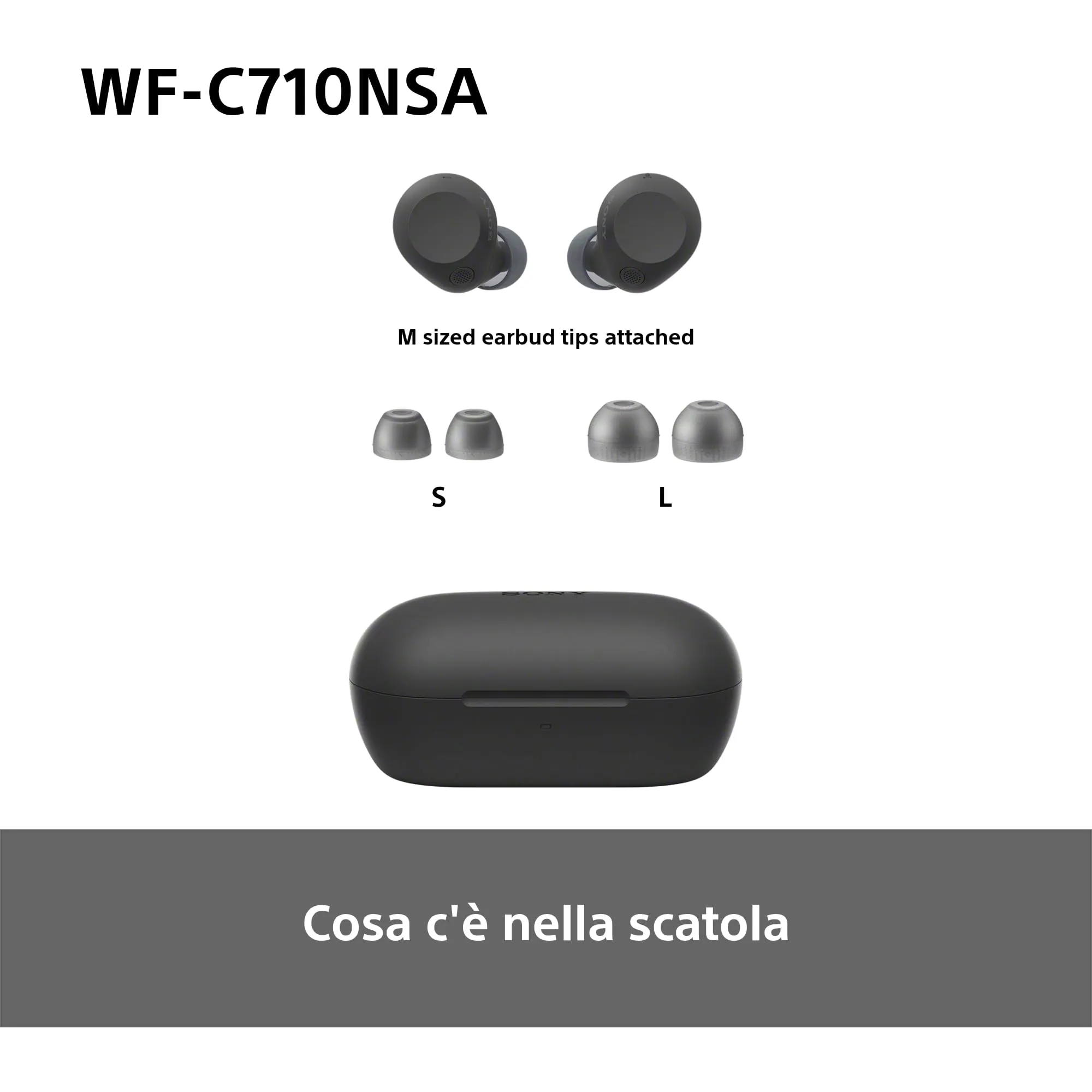 Miniatura 11