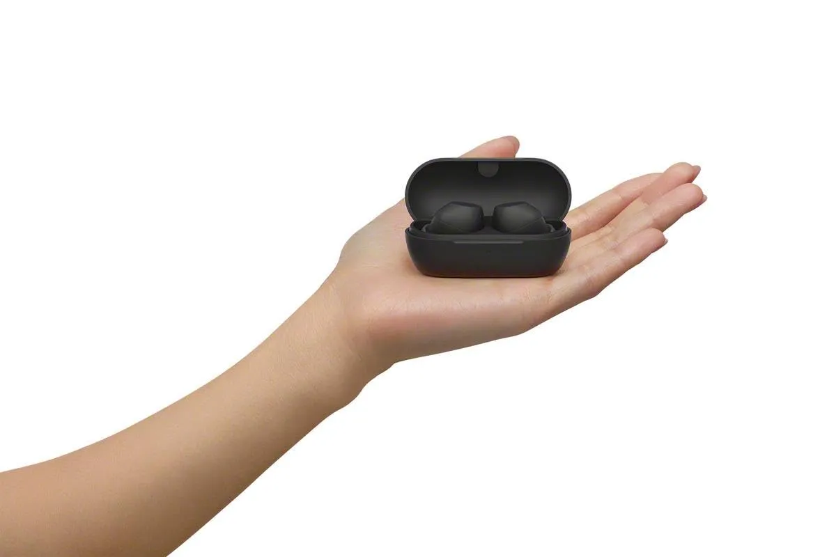 Miniatura 14