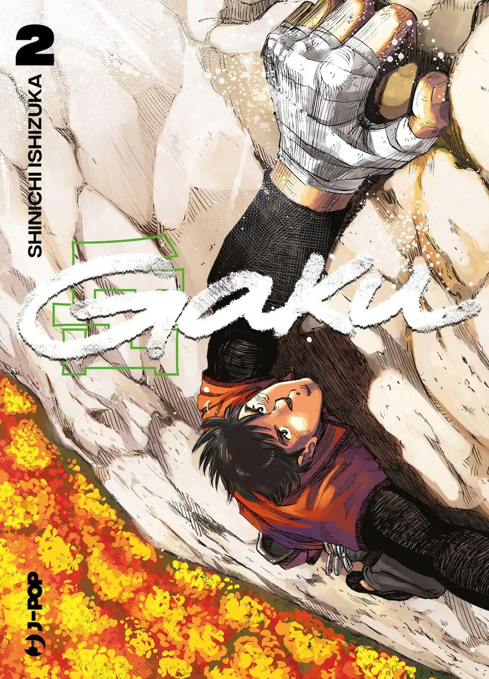 Gaku: Le Vette Più Alte - Un'Avventura Manga nel Cuore delle Alpi Giapponesi