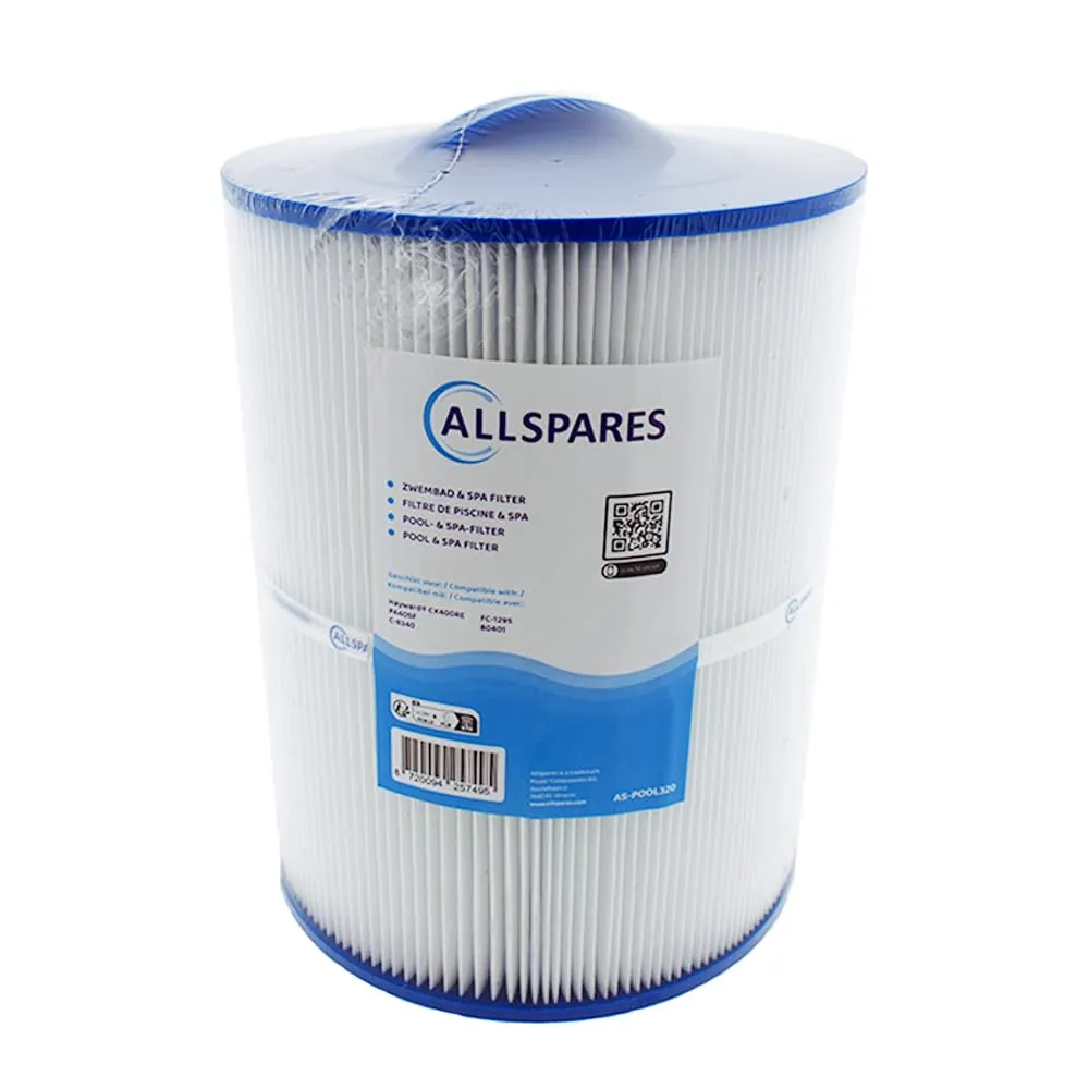 AllSpares Filtro per Piscina Hayward CX400RE