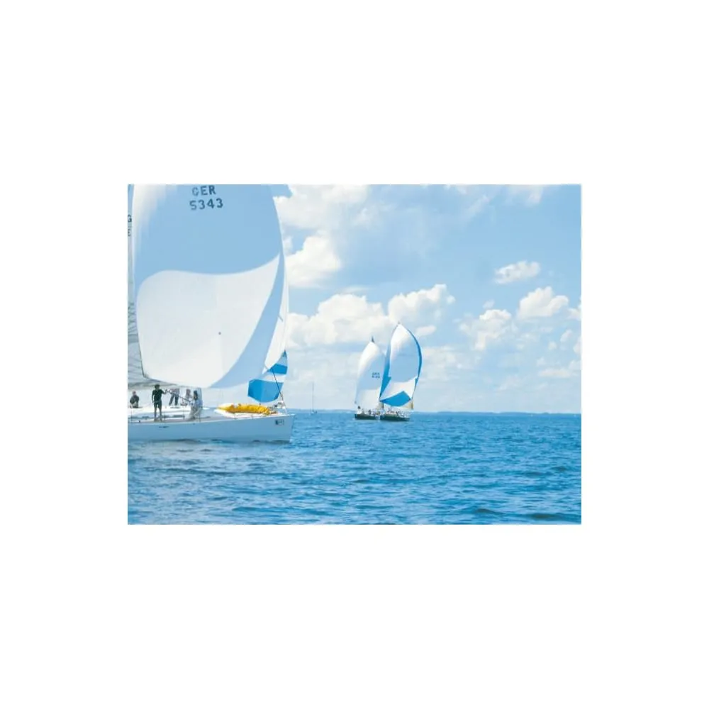 PSP Spinnaker Repair Tape - Nastro Riparazione Spinnaker 50mm x 4.5m - Verde Mare