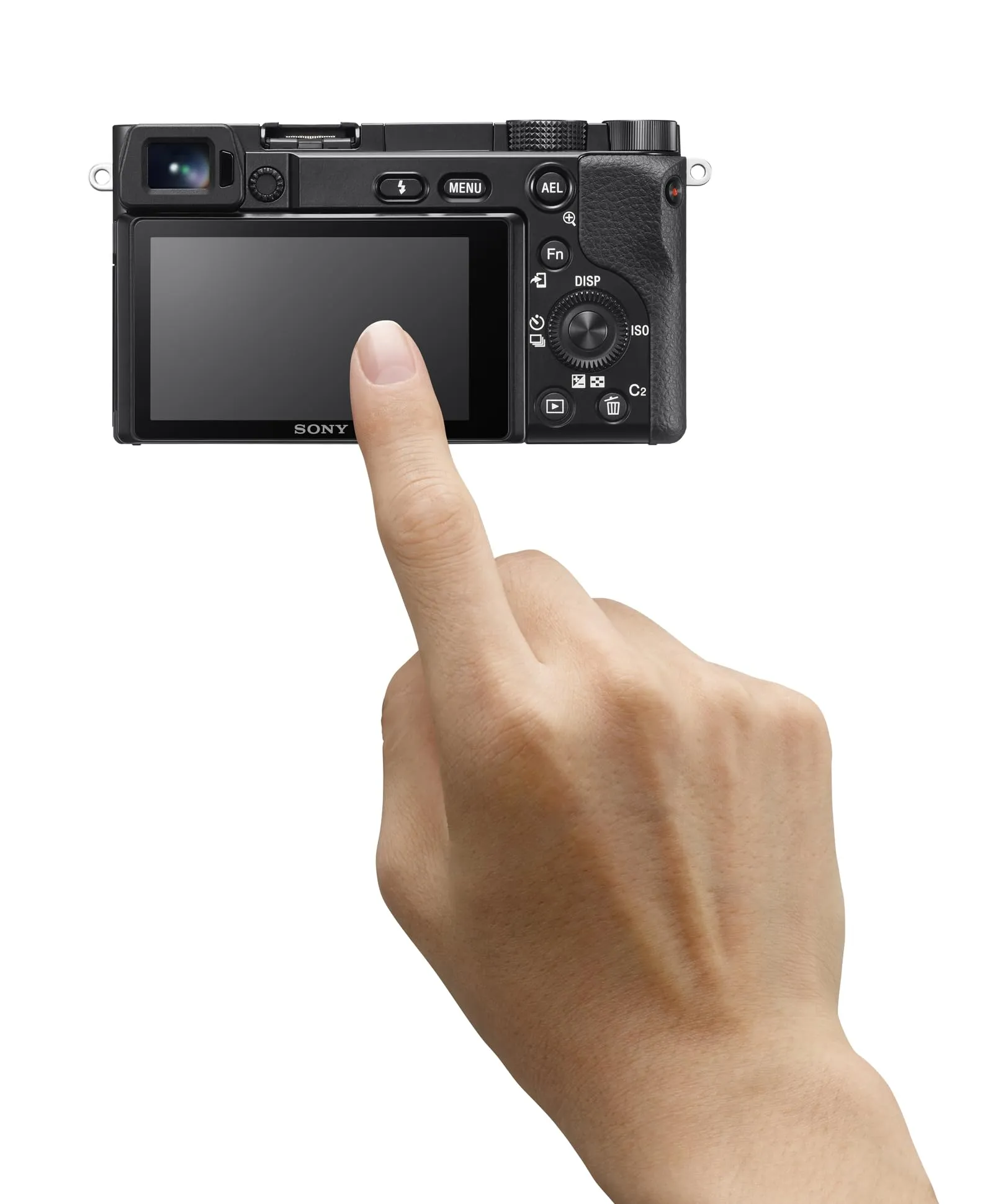 Miniatura 7
