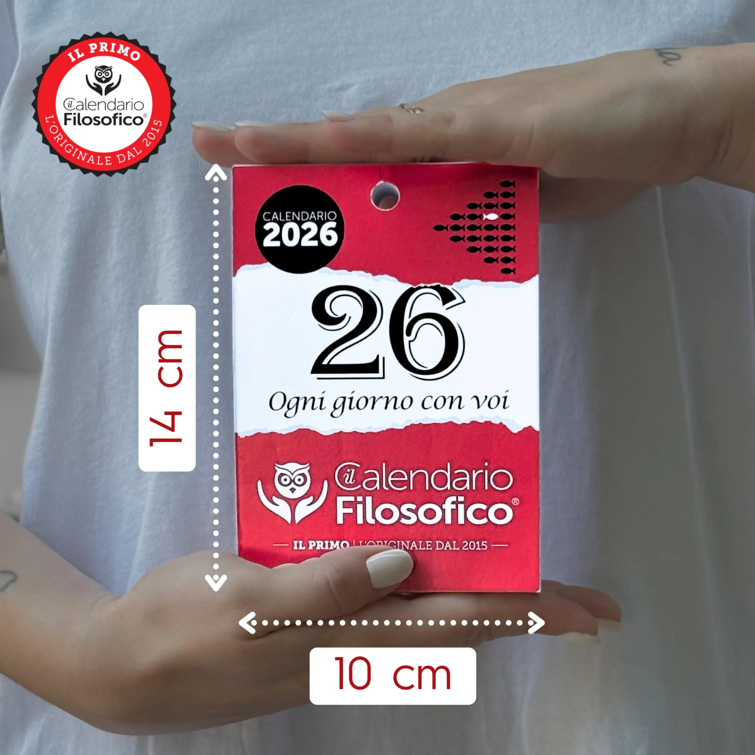 Miniatura 6