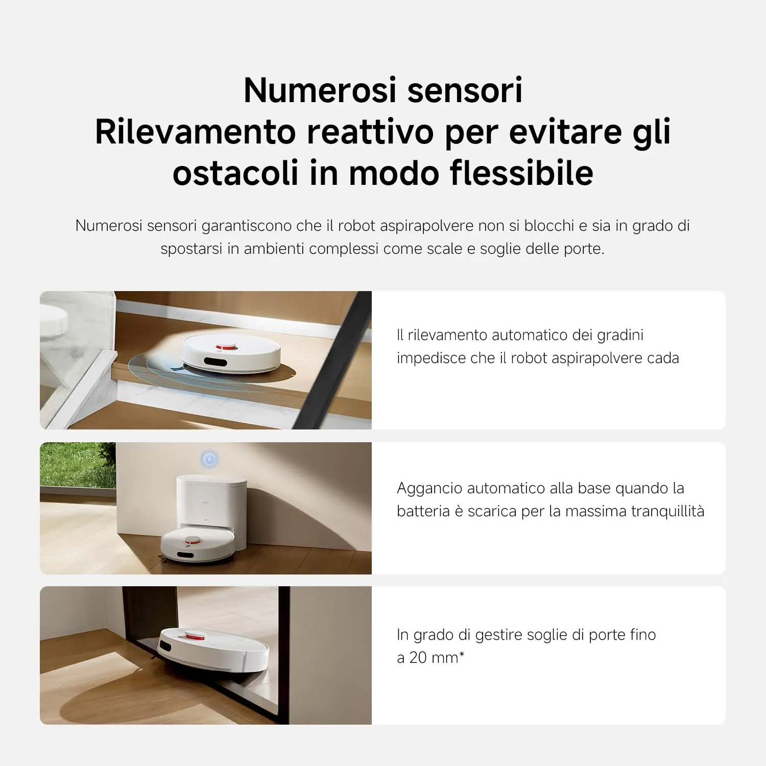 Miniatura 12