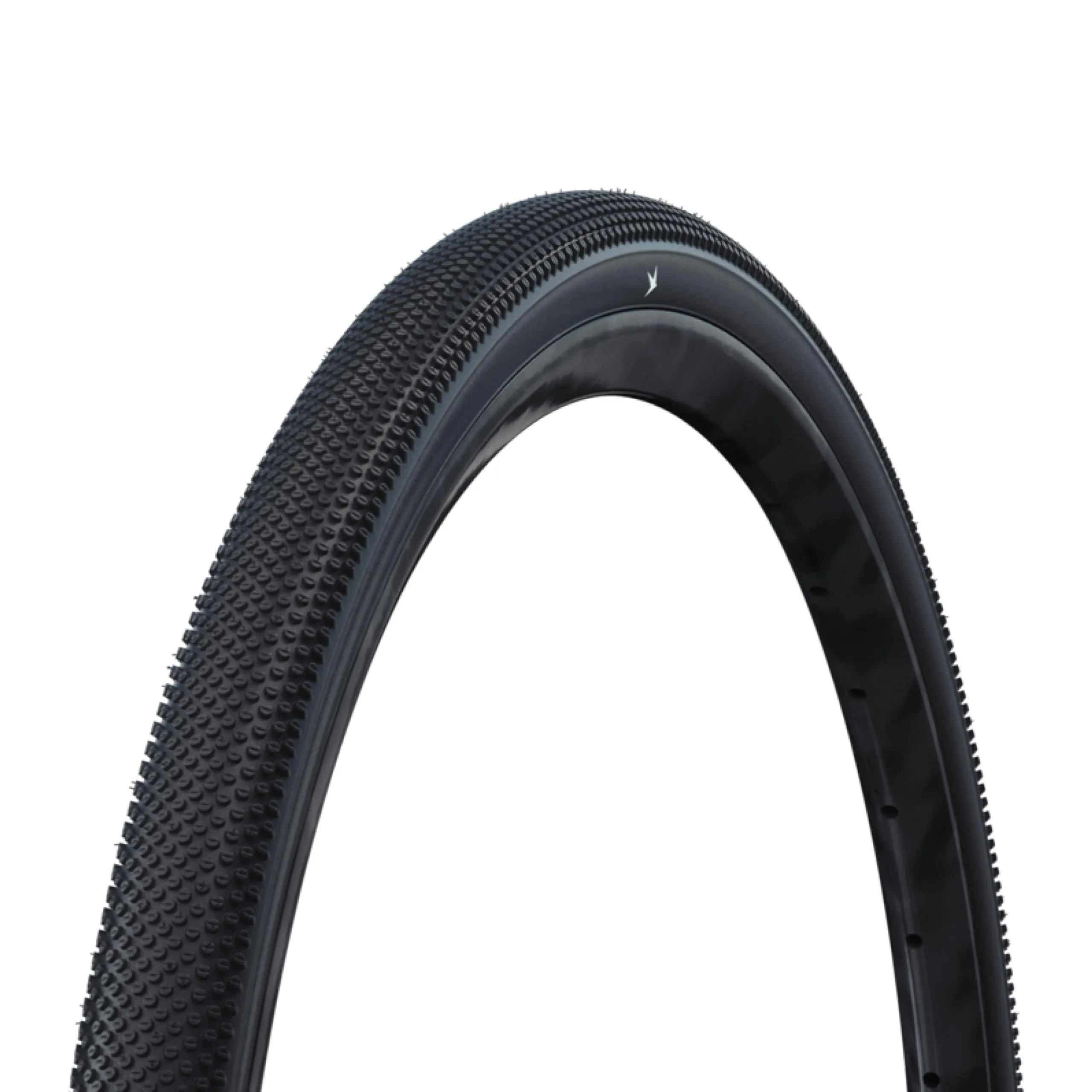 Schwalbe G-One Allround Performance Raceguard TLE Pneumatico Gravel