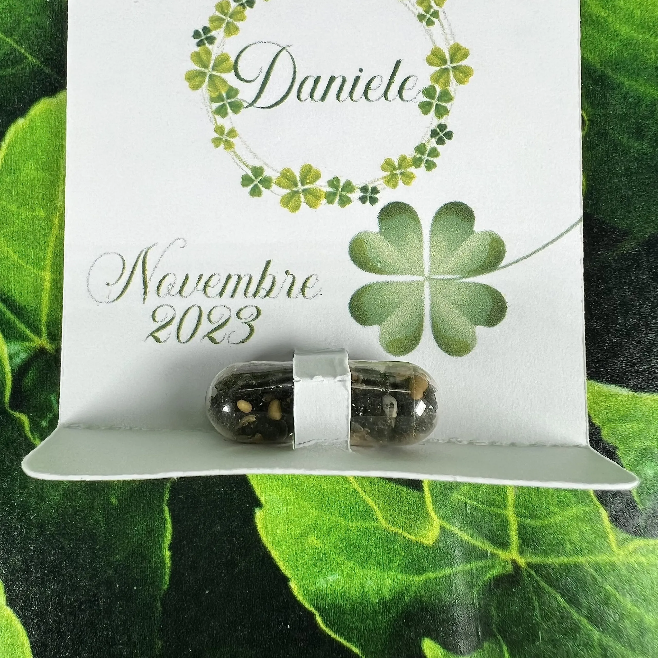 Miniatura 6