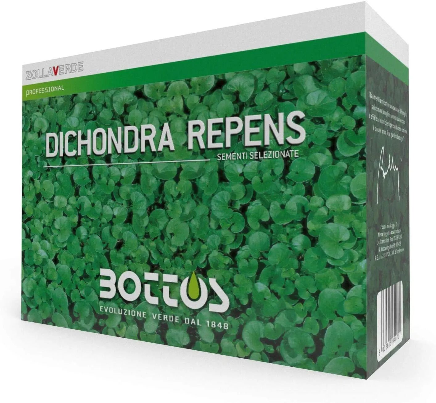 Bottos DICONDRA REPENS - Seme per Tappeto Erboso Ornamentale a Bassa Manutenzione